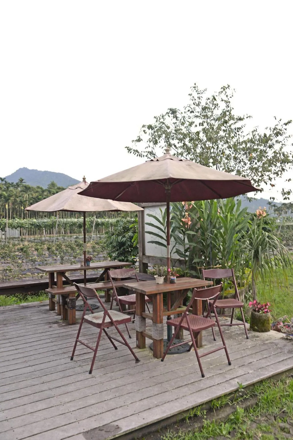 Lounge or bar in Nantou Sunmoon Lake Walami Homestay B&B