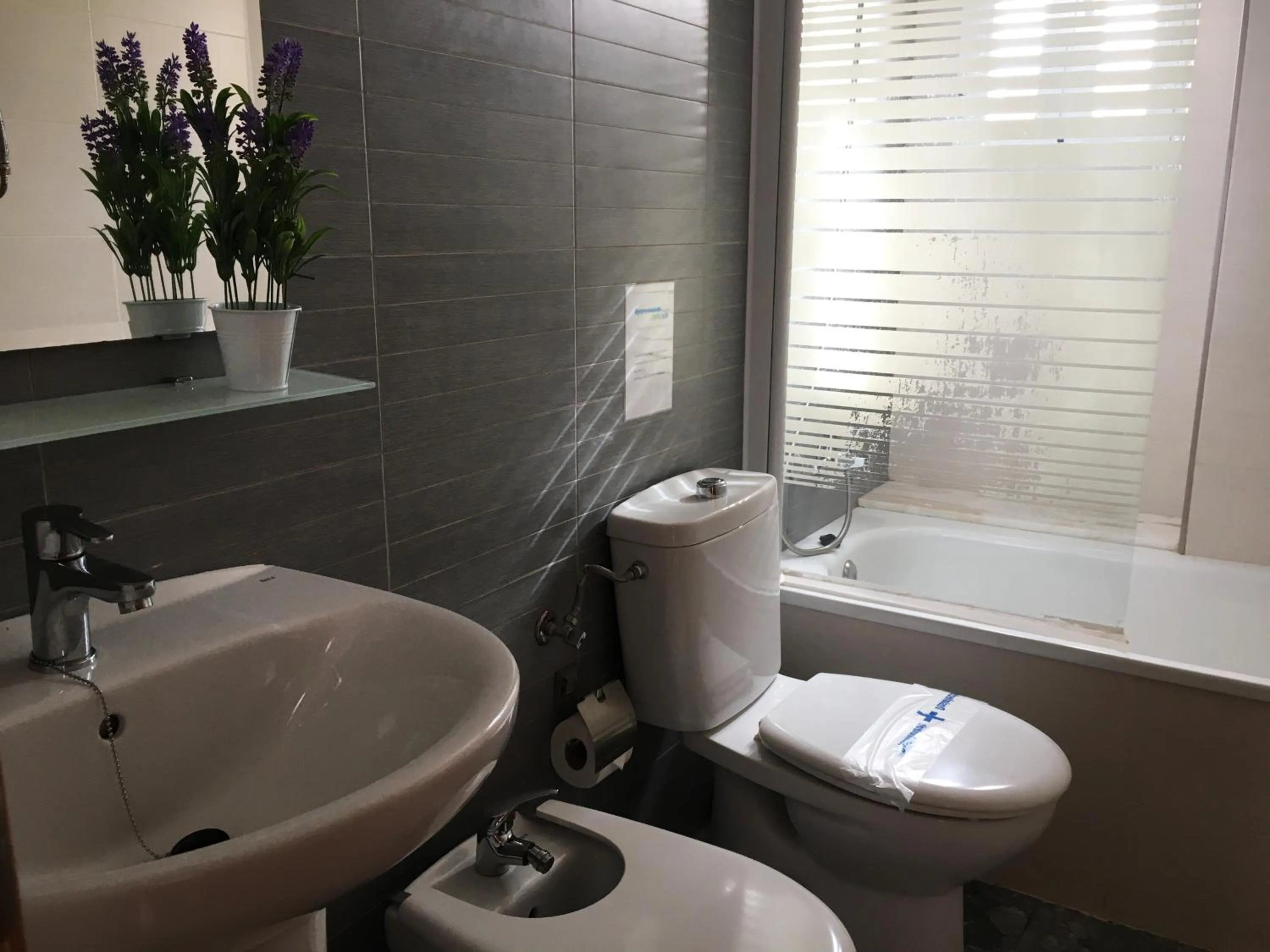 Bathroom in Apartamentos Doña Carmen 3000