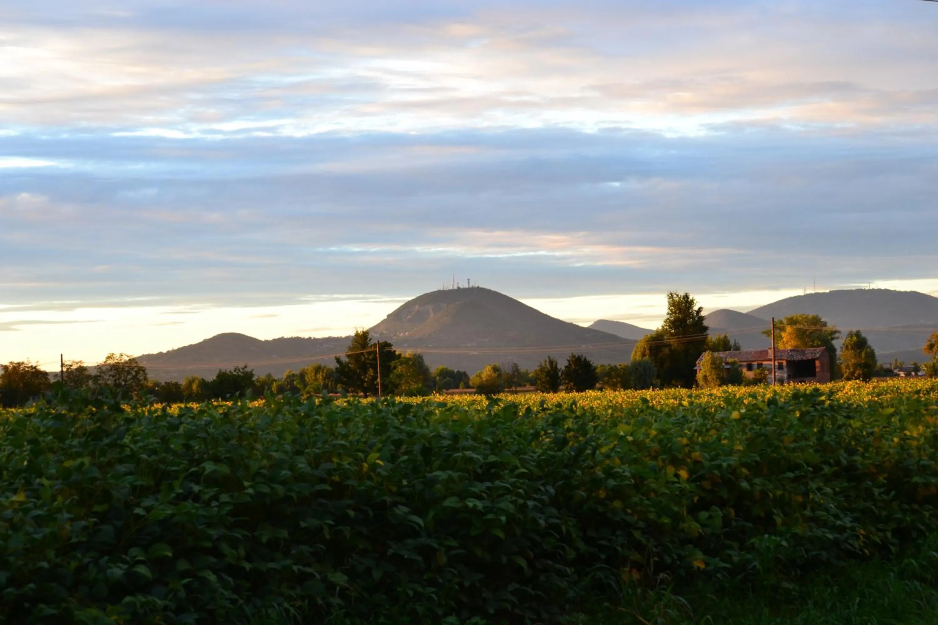 Property building in Regina Sconta