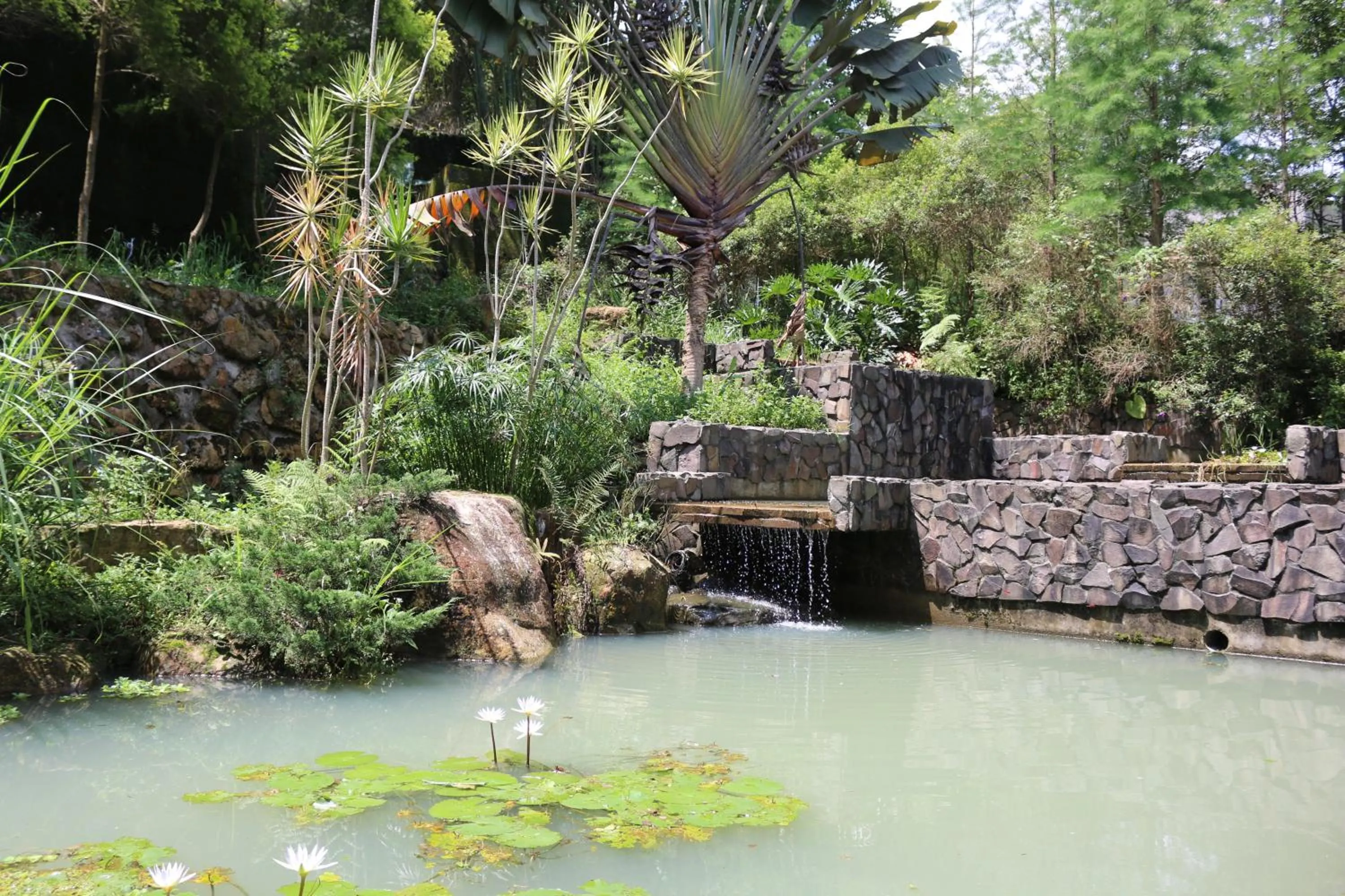 Decorative detail in Bear Meets Moose Homestay B&B