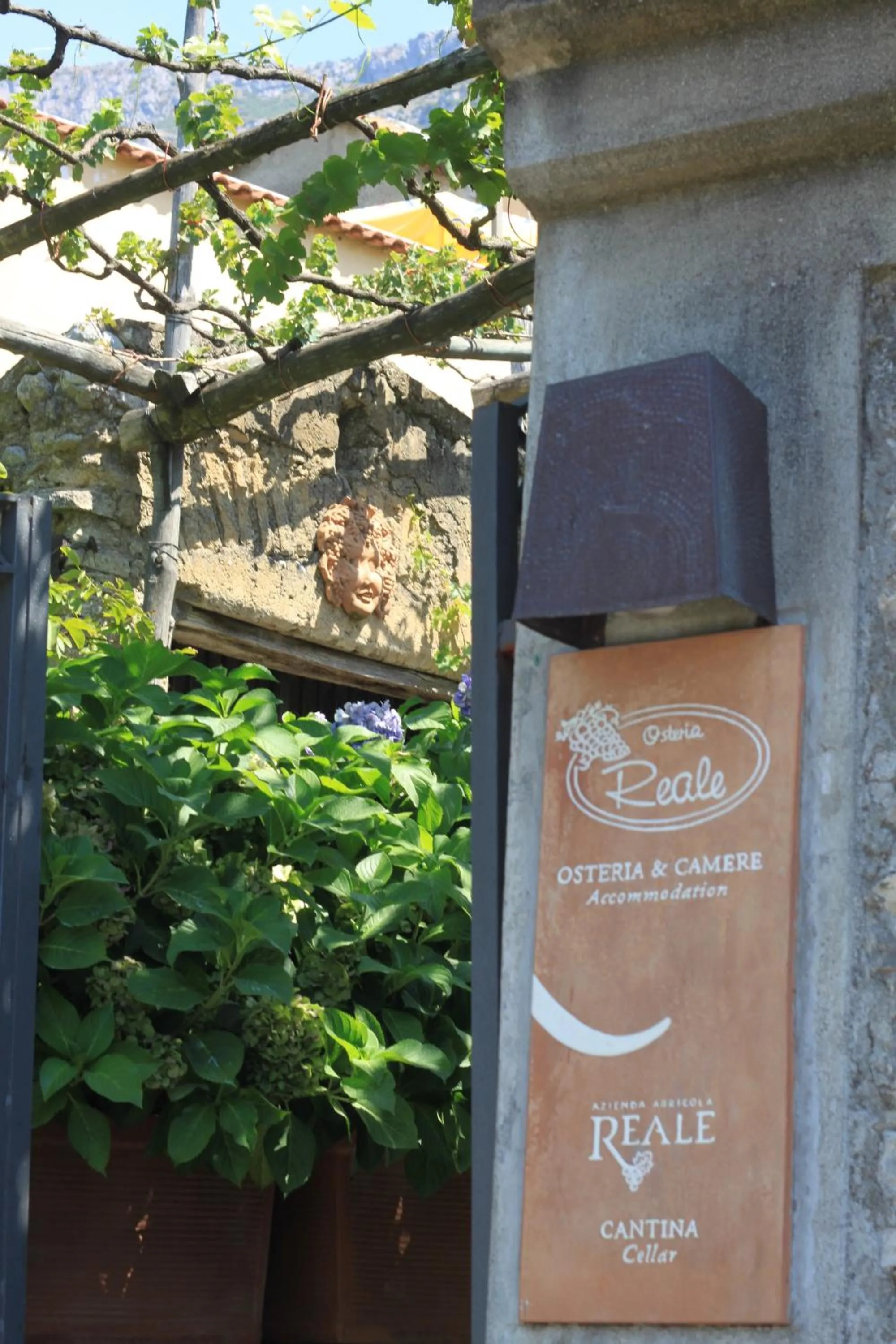 Property building in B&B Reale