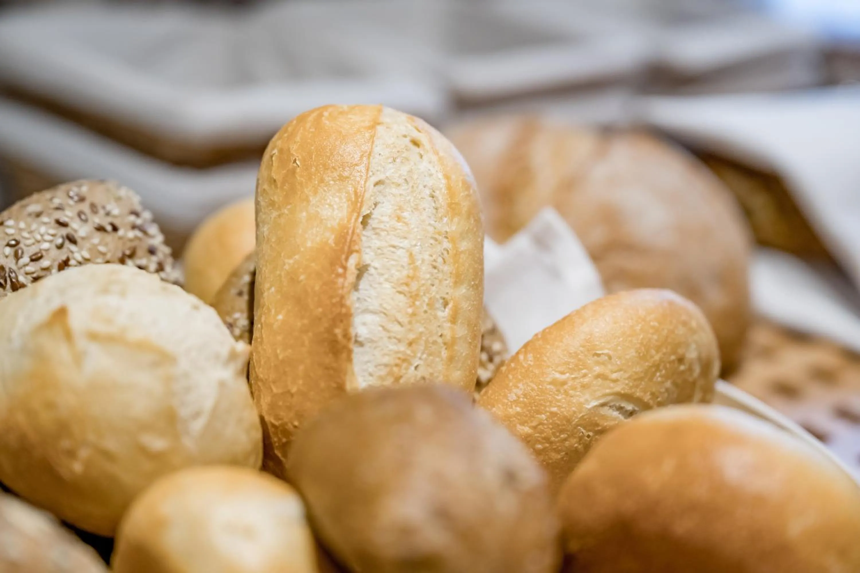 Breakfast in Bed & Breakfast Fender
