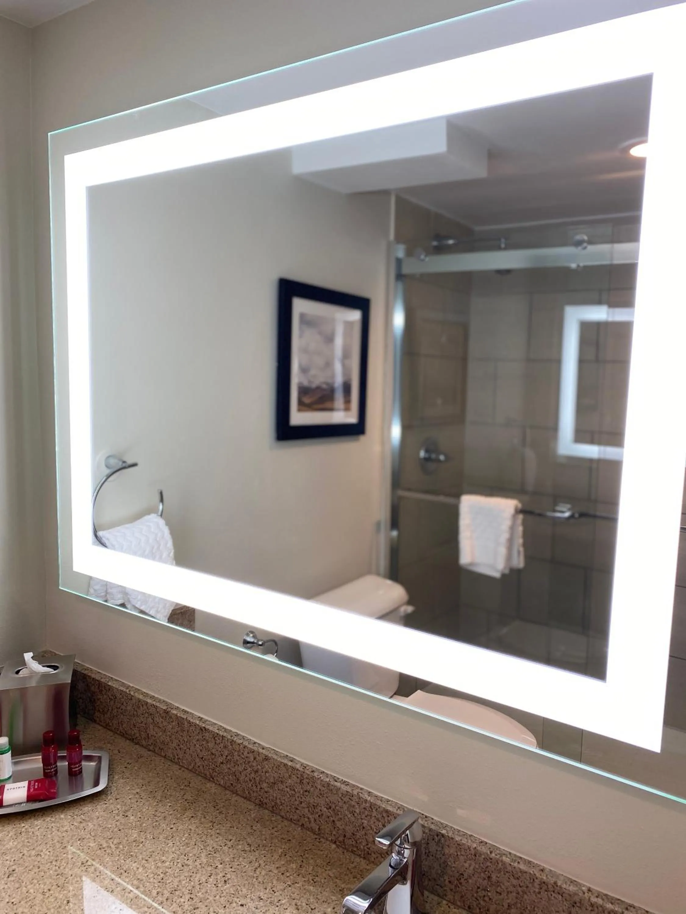 Bathroom in Best Western Premier Denver East