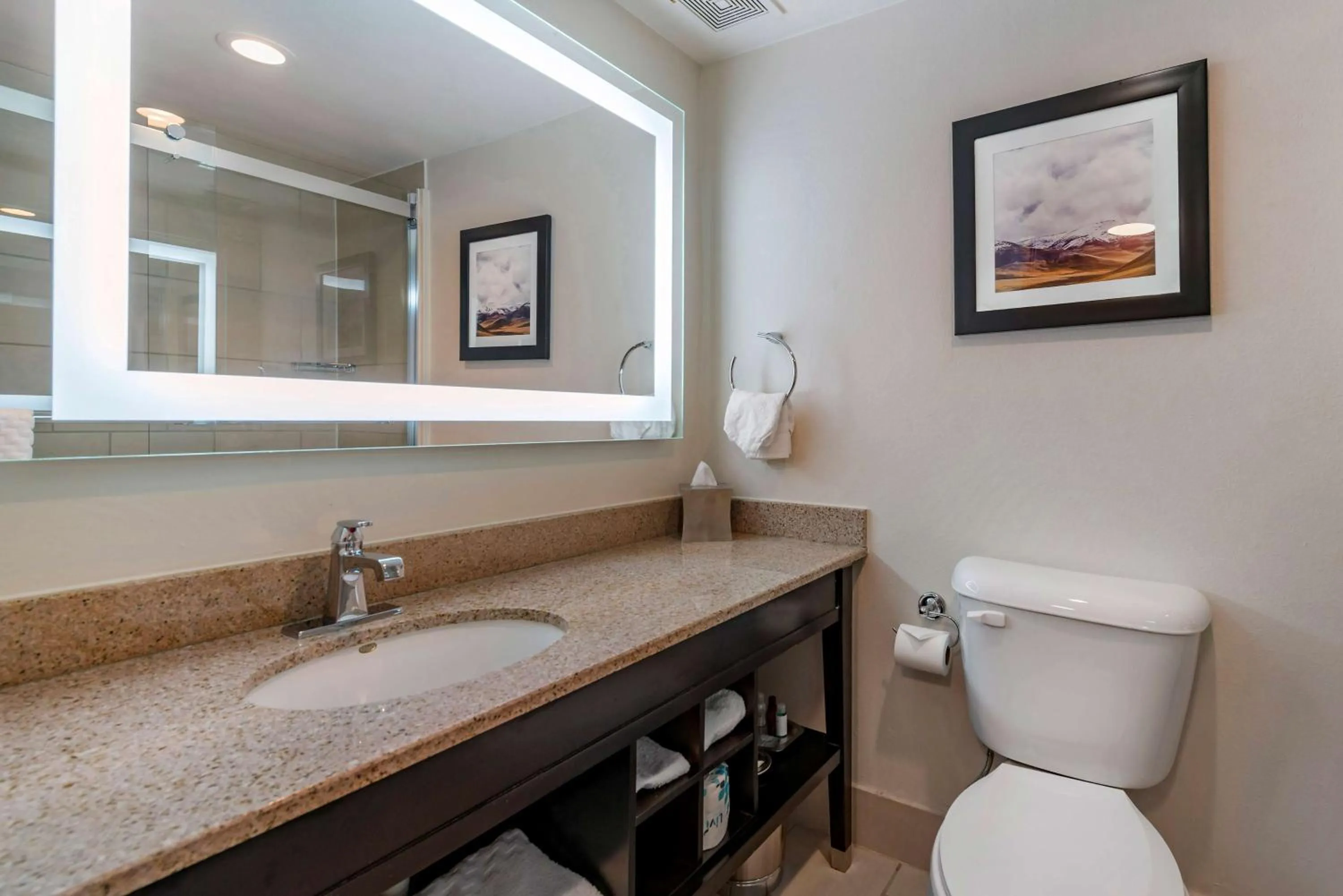 Bathroom in Best Western Premier Denver East