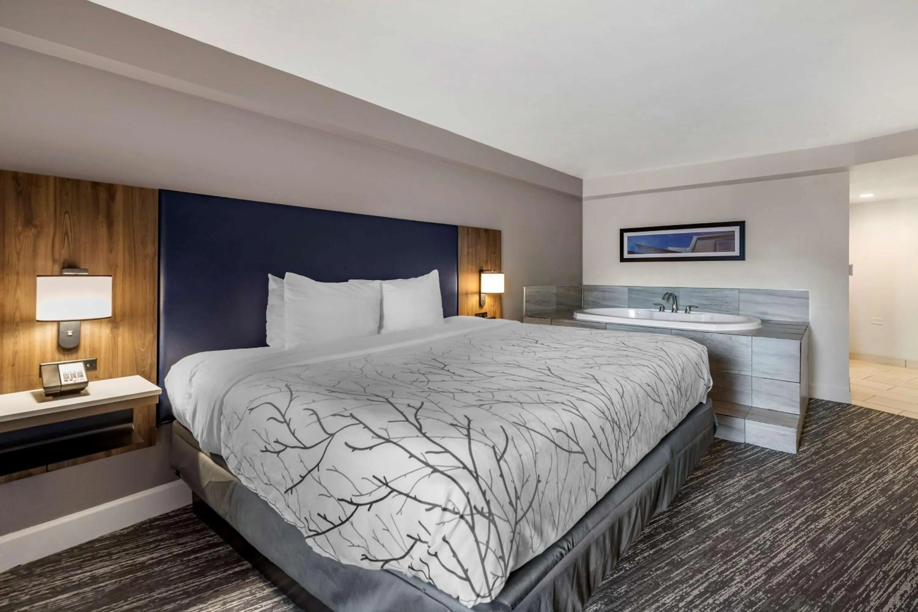 Photo of the whole room, Bed in Best Western Premier Denver East