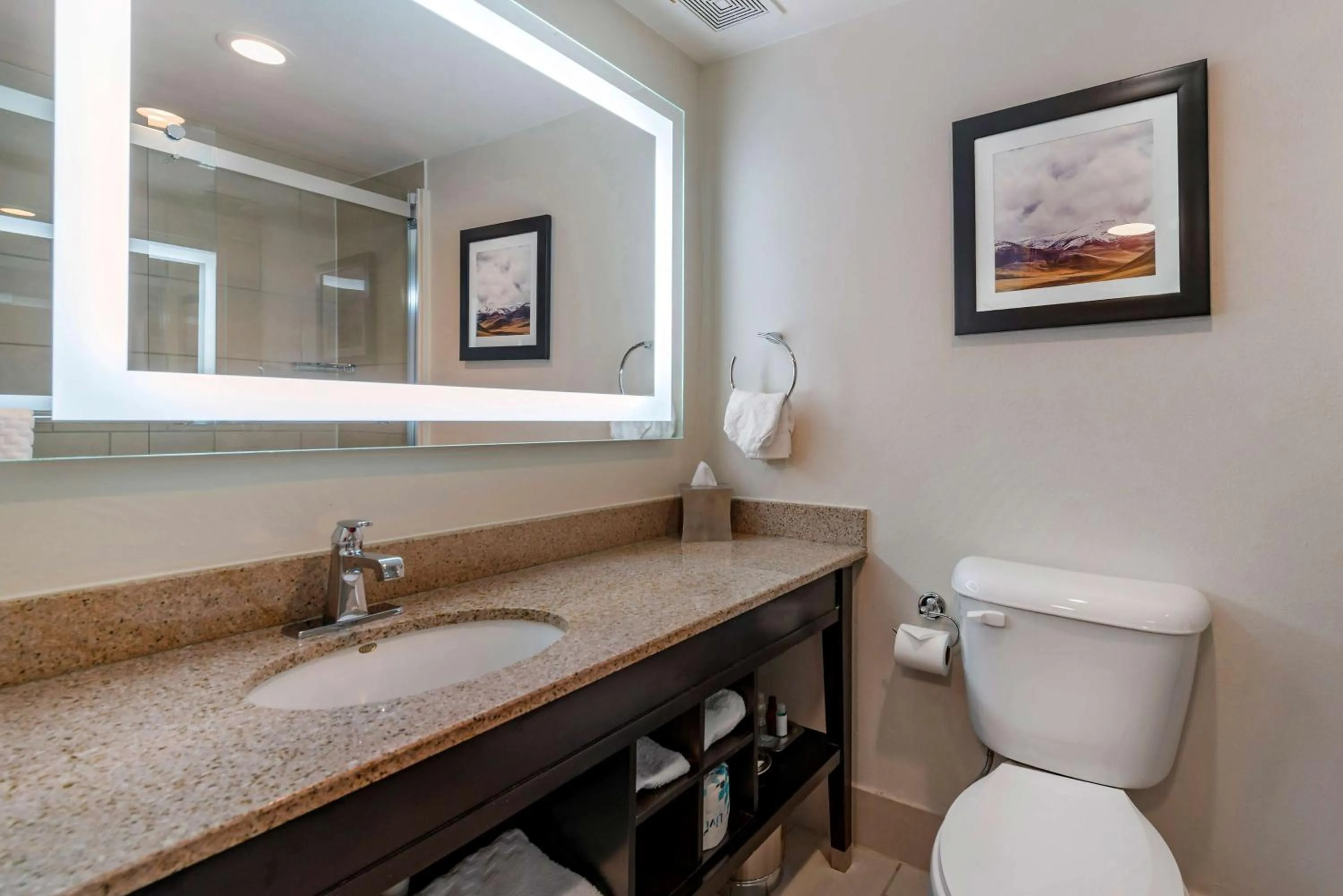 Bathroom in Best Western Premier Denver East