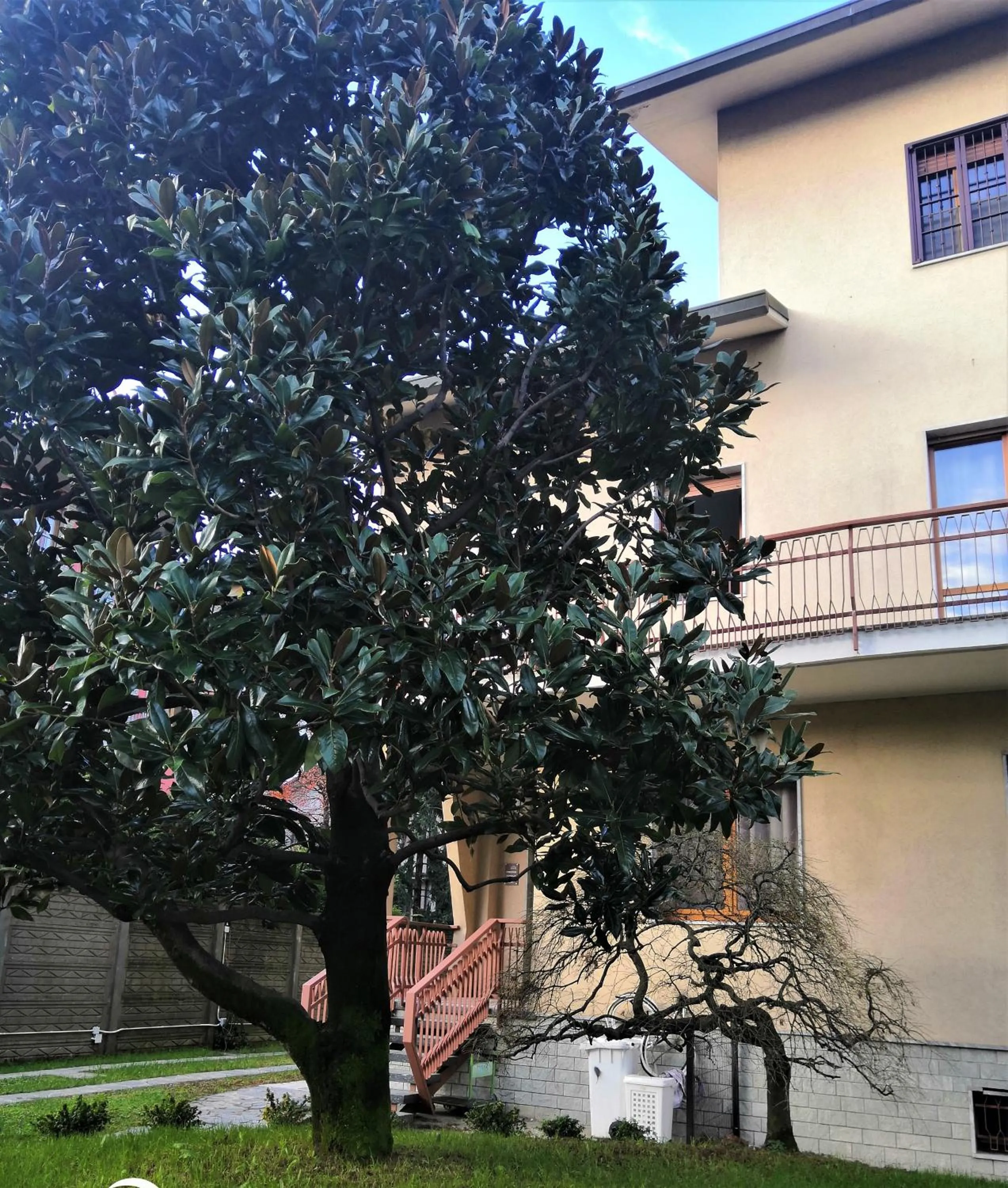 Property building in FlatMILAN