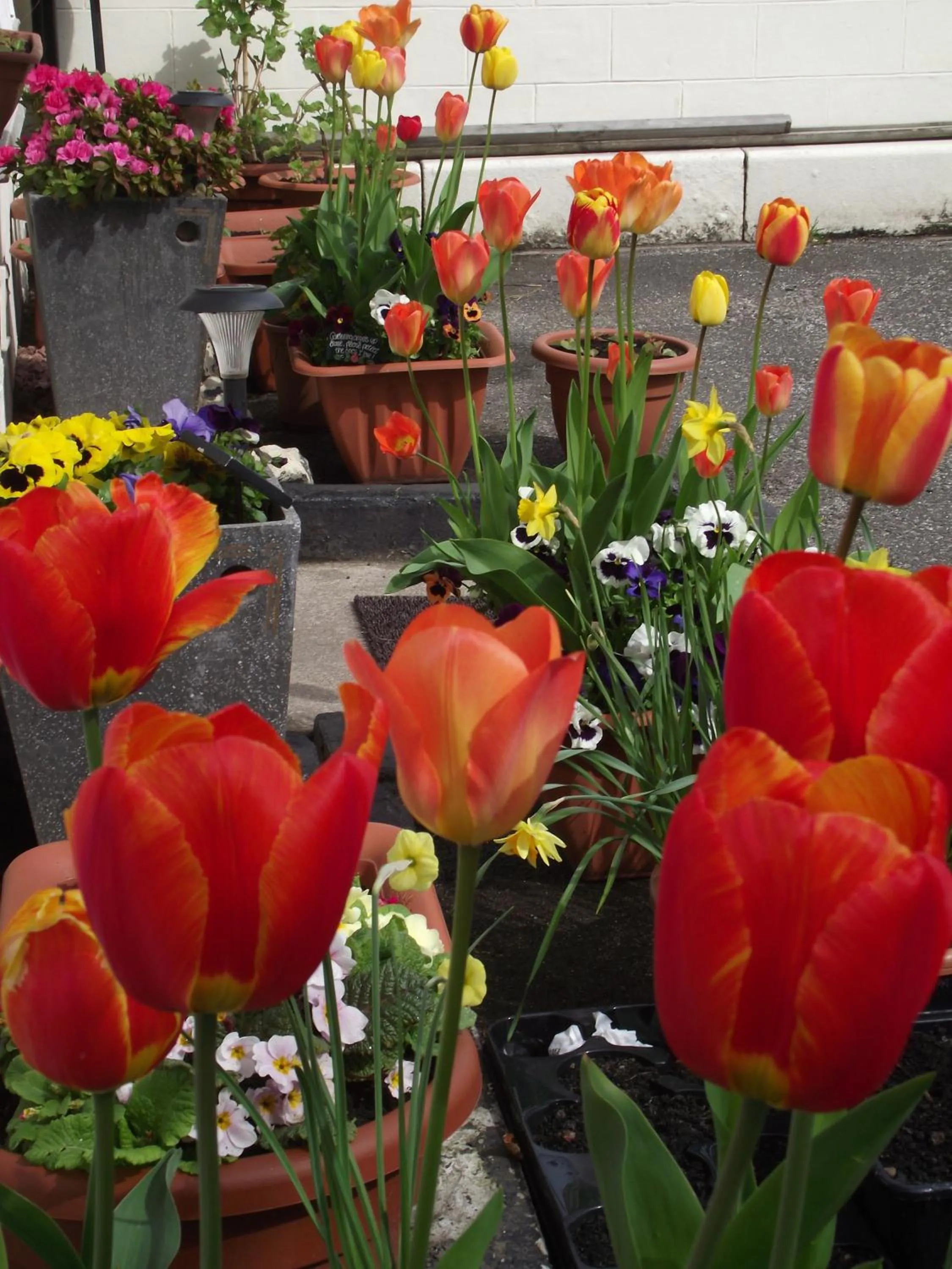 Facade/entrance in Broomfield House Bed and Breakfast