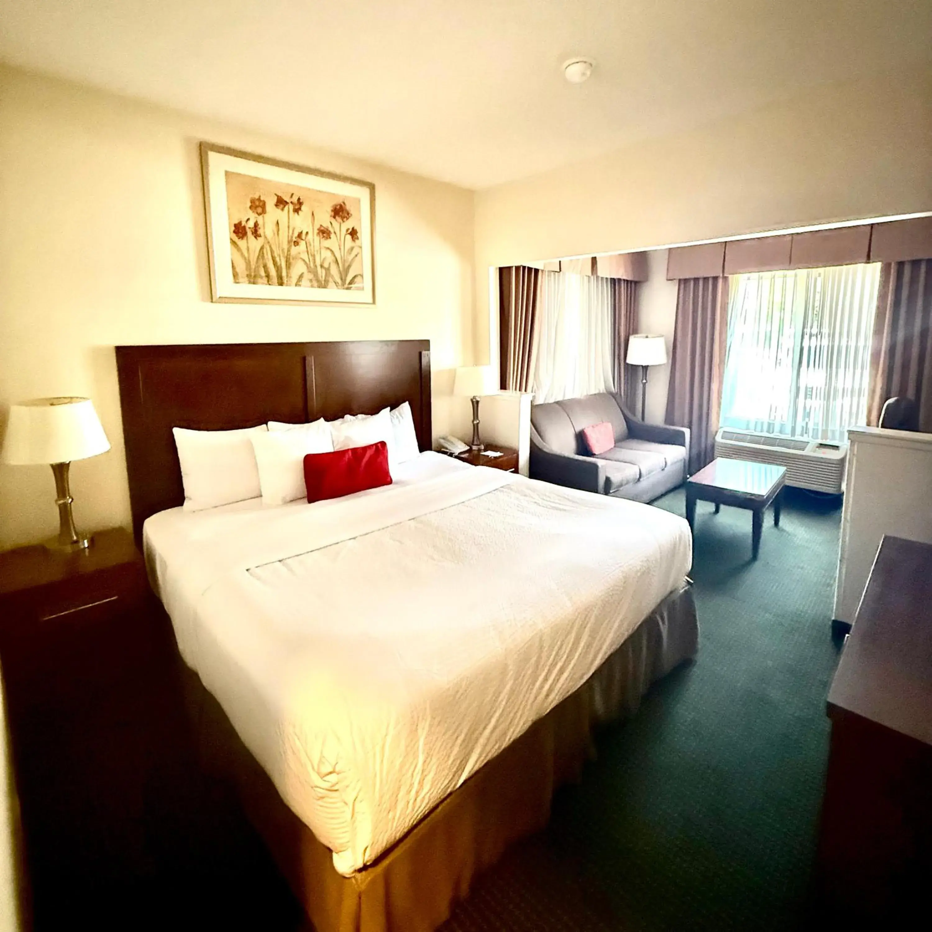 King Suite- Non-Smoking in Ramada by Wyndham Denver International Airport King Suite- Non-Smoking in Ramada by Wyndham Denver International Airport