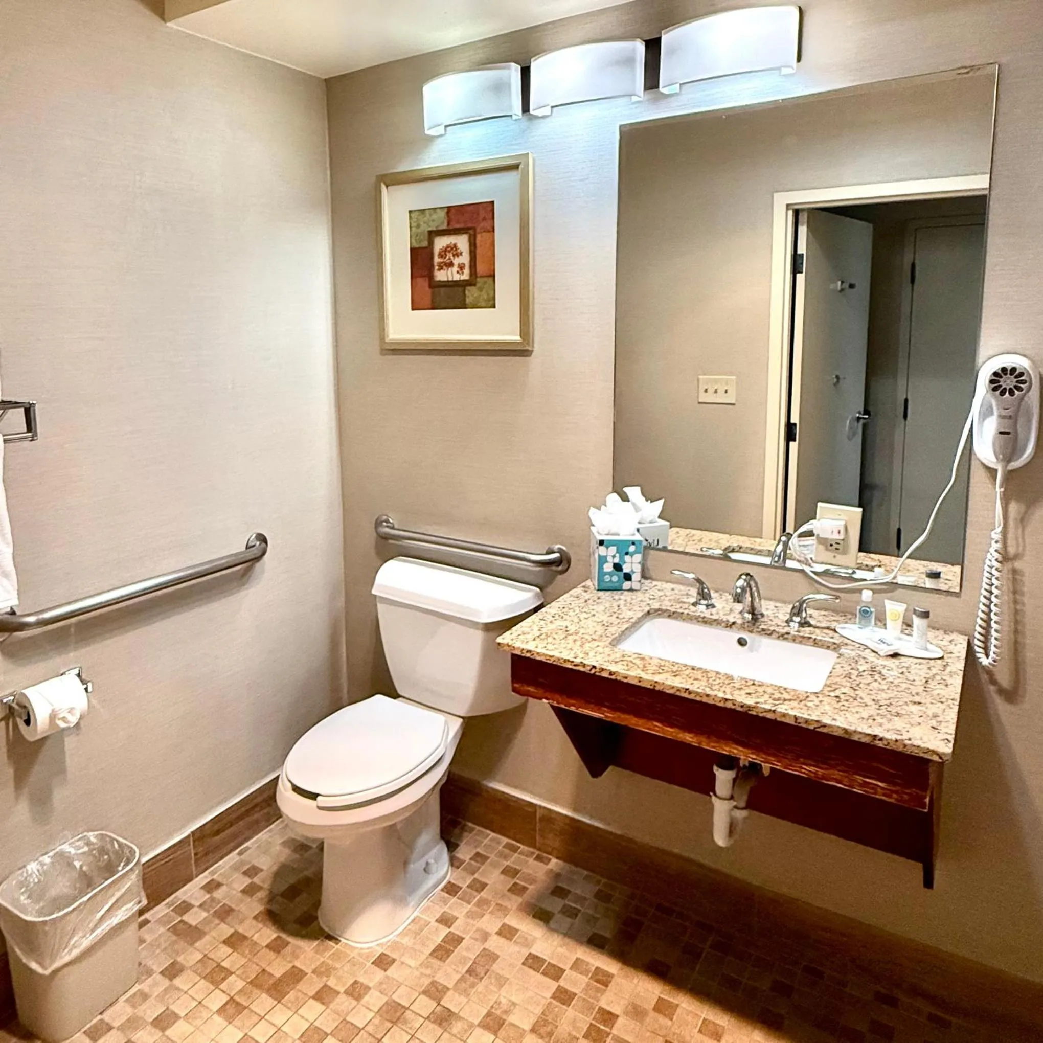 Toilet in Ramada by Wyndham Denver International Airport