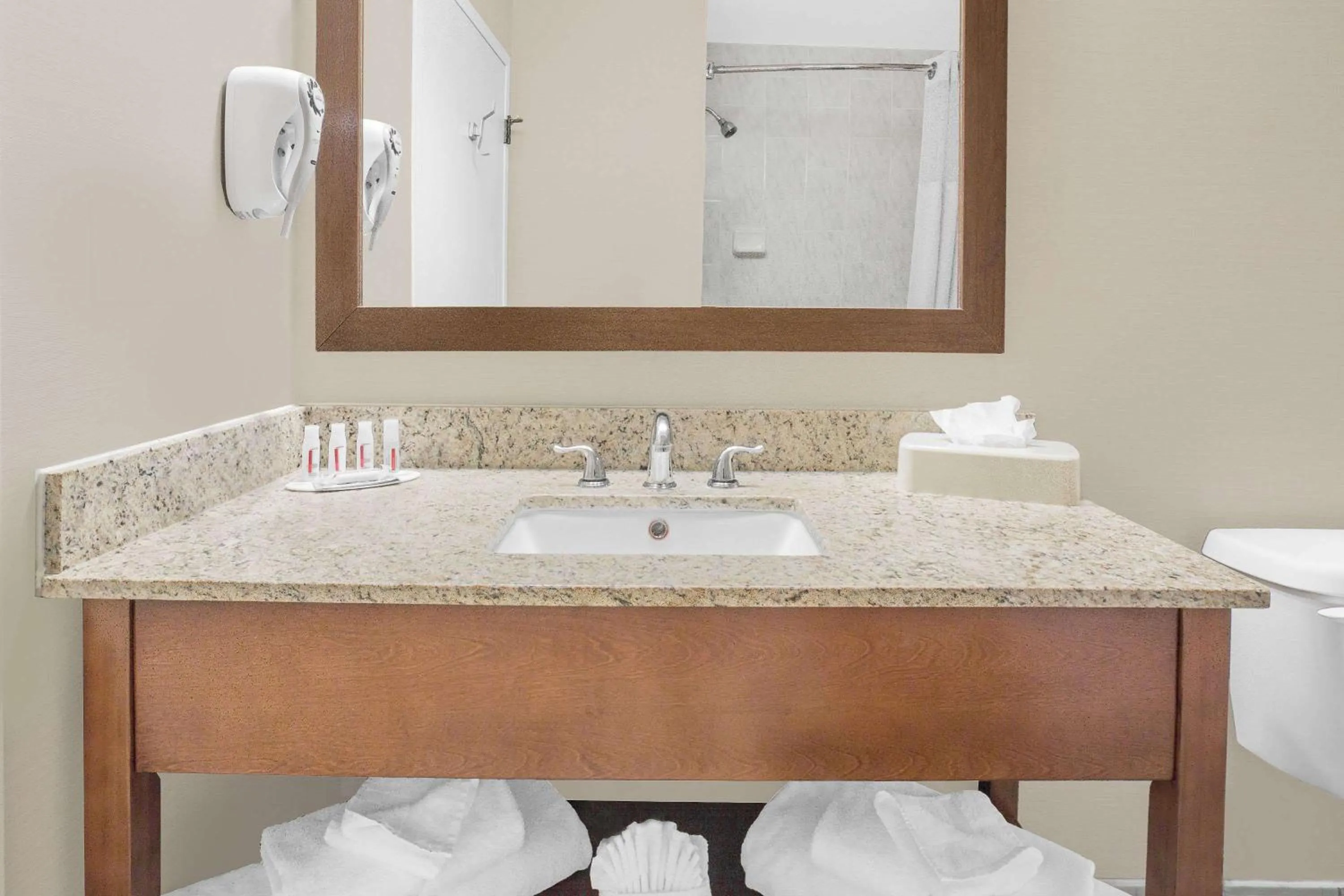 Bathroom in Ramada by Wyndham Denver International Airport