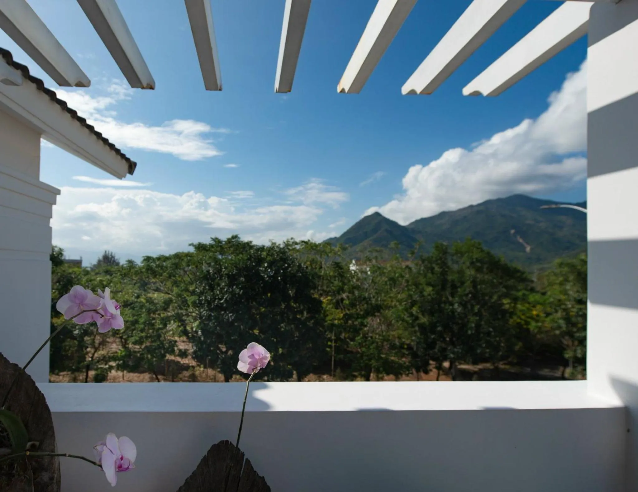 View (from property/room) in West Lake Hotel - Near Bai Dai Beach