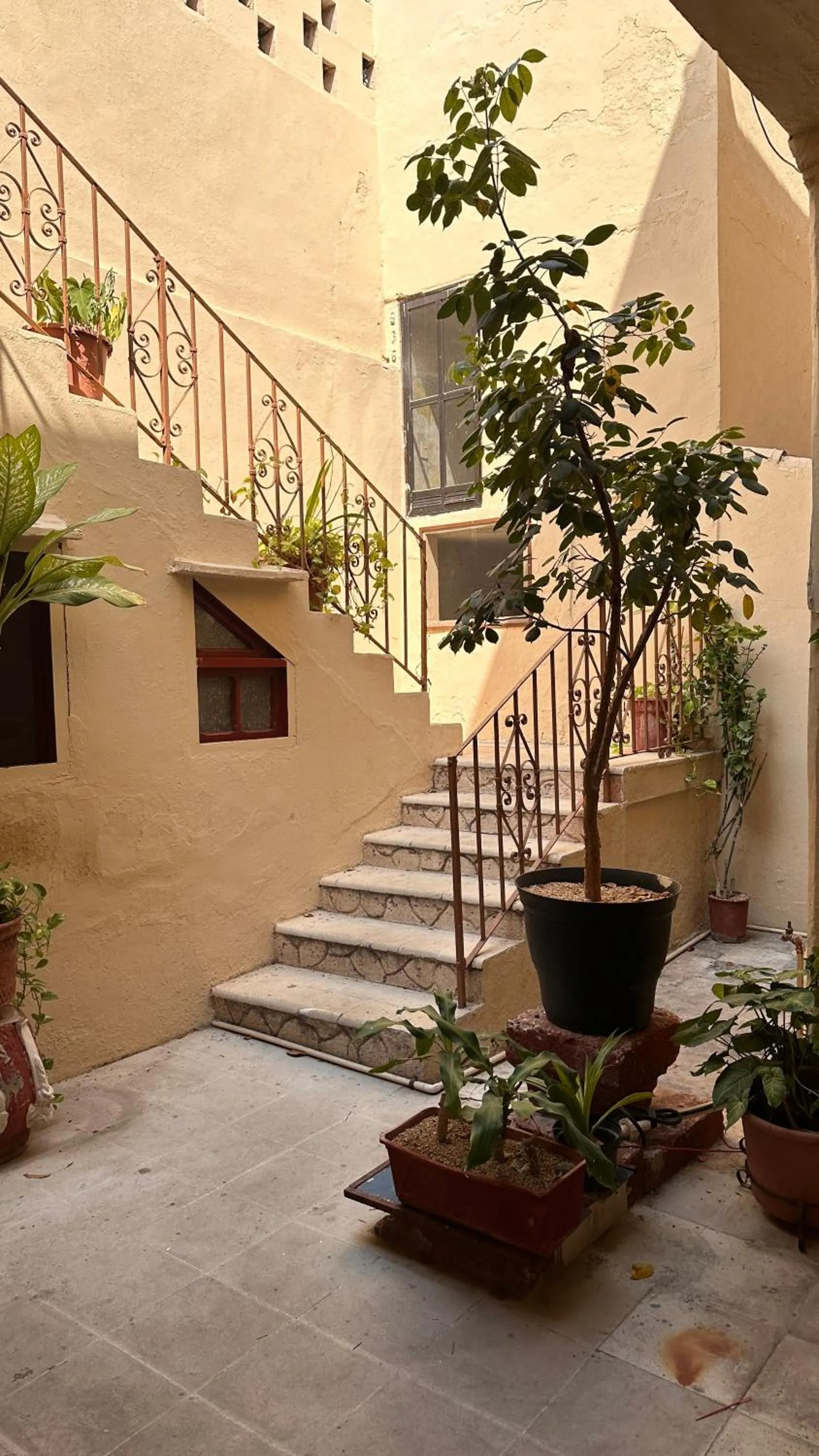 Property building in Hotel Margarita