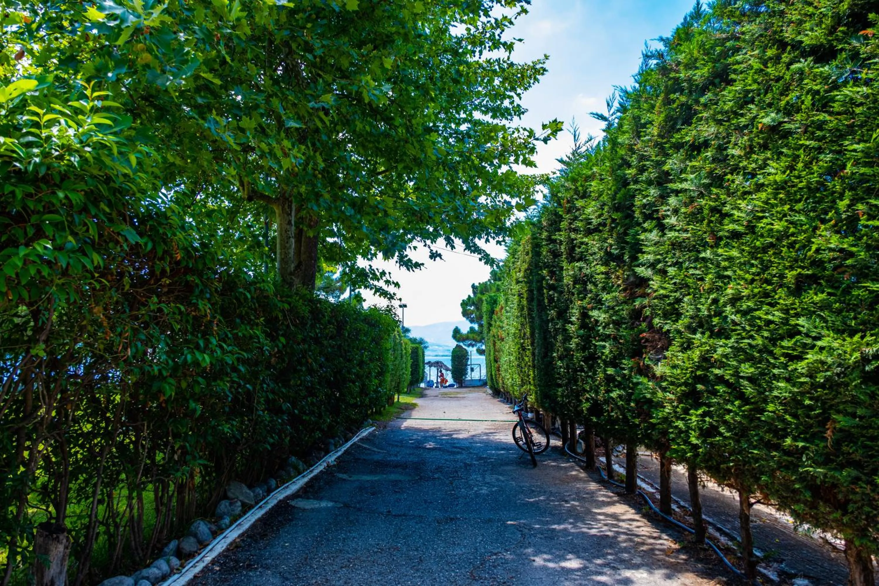 Facade/entrance in Tsamadanis Hotel & Bungalows Friends Family