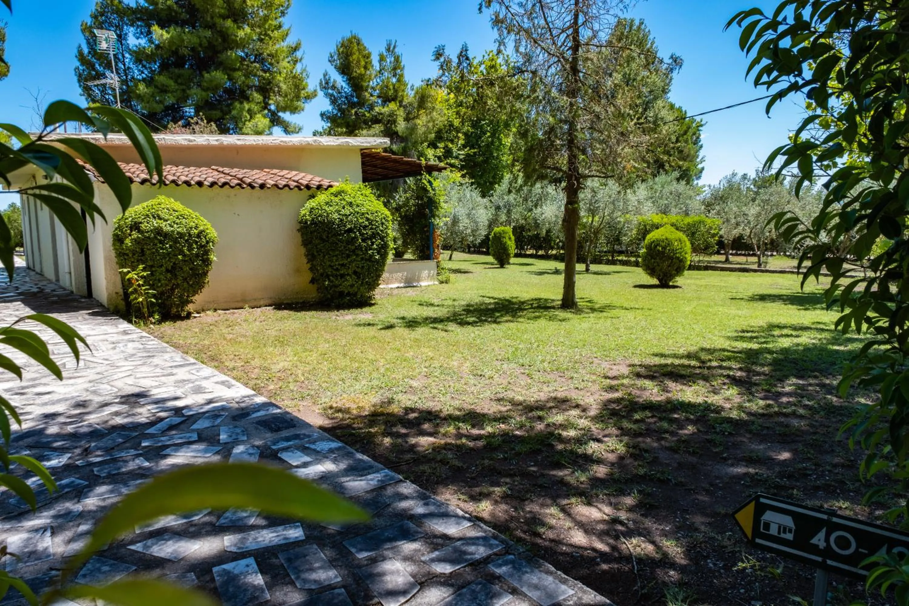 Garden in Tsamadanis Hotel & Bungalows Friends Family