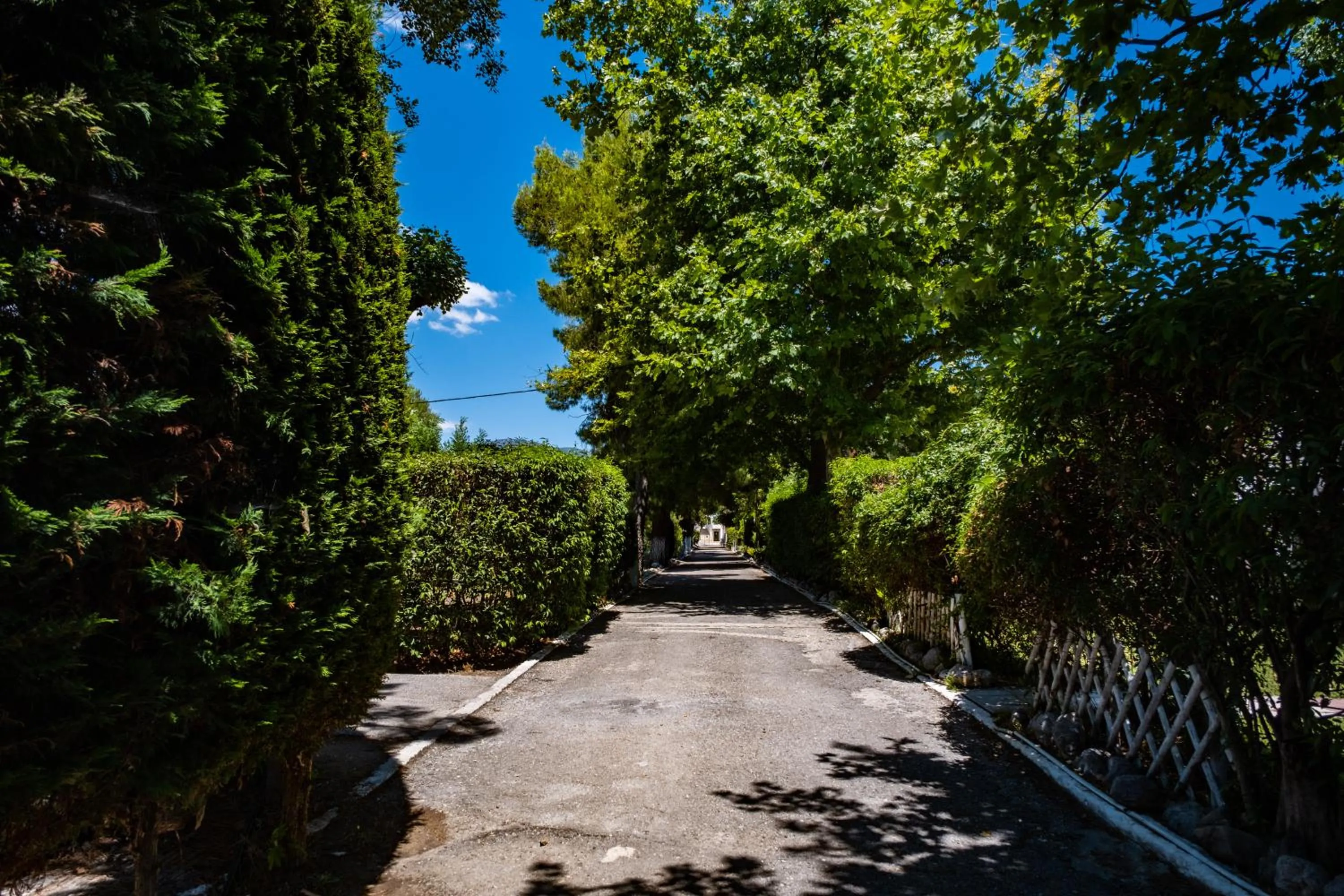 Natural landscape in Tsamadanis Hotel & Bungalows Friends Family