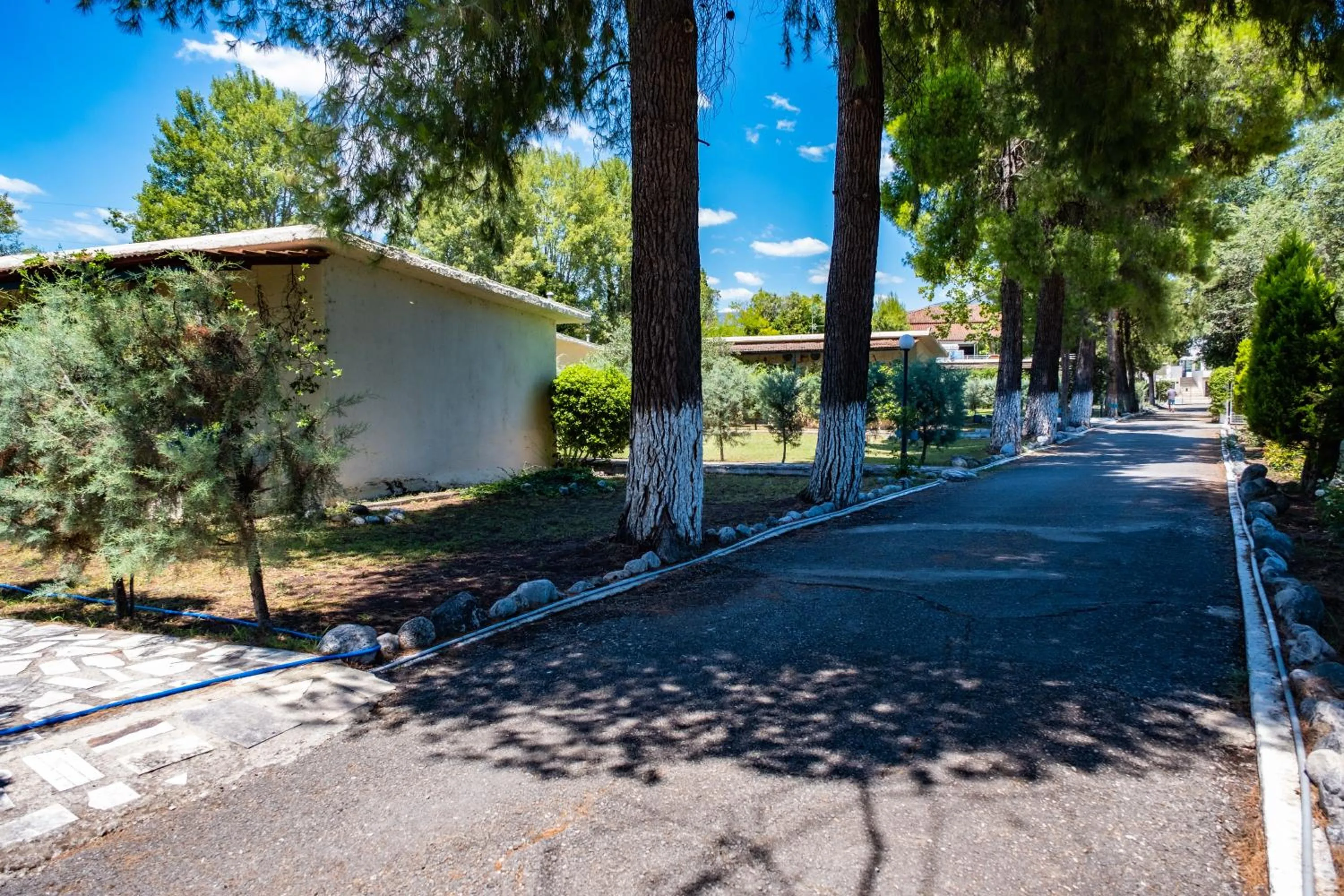 Facade/entrance in Tsamadanis Hotel & Bungalows Friends Family