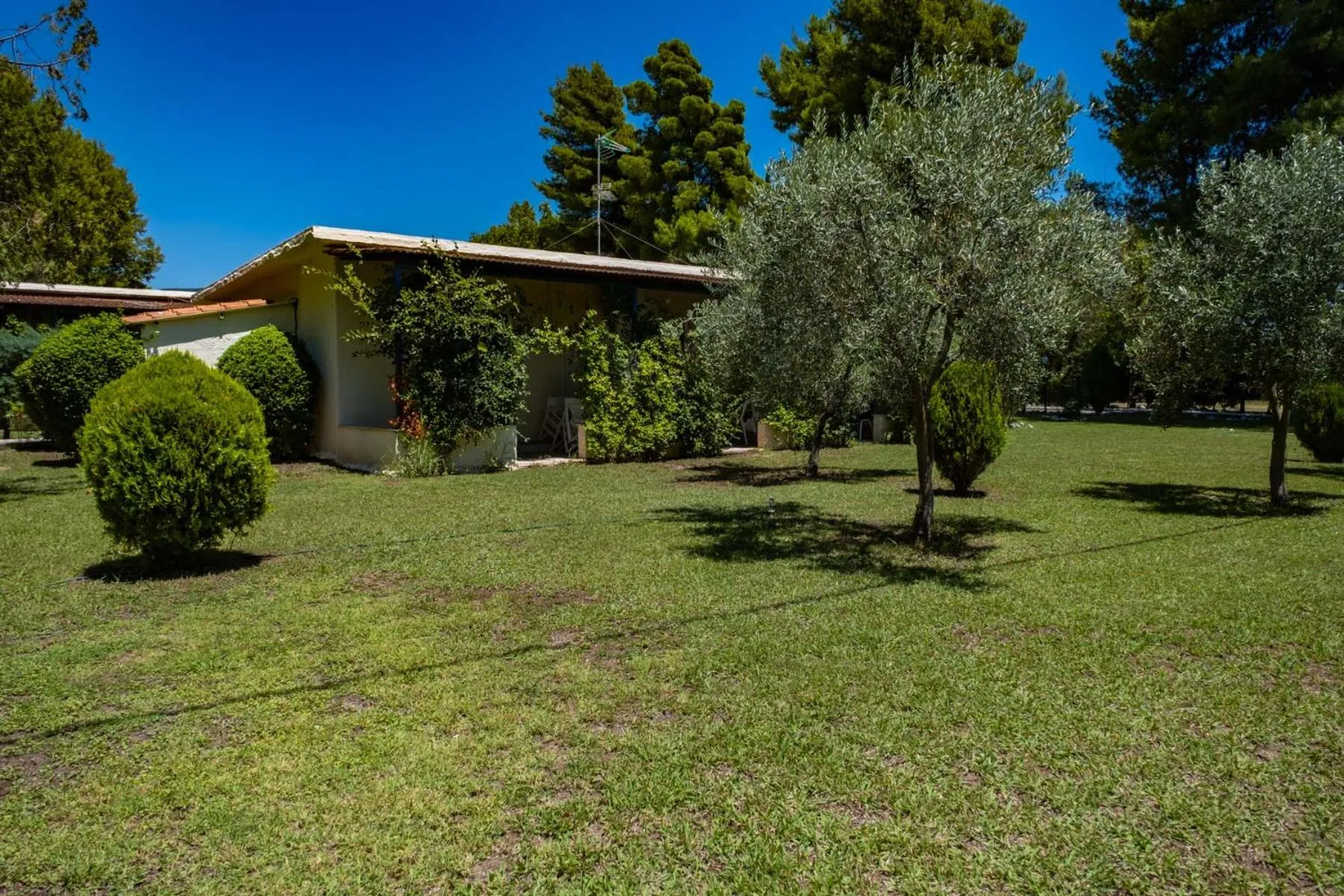 Property building in Tsamadanis Hotel & Bungalows Friends Family