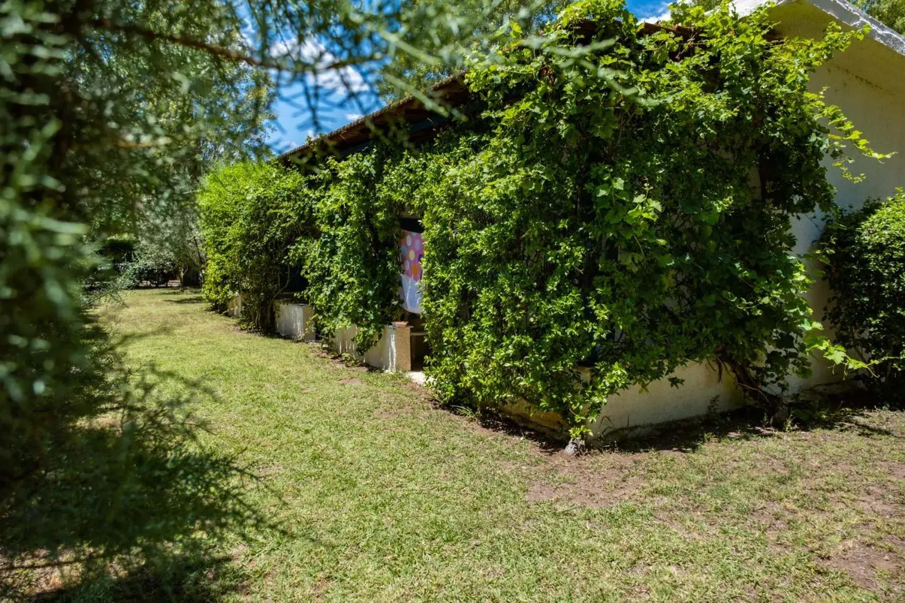 Single Room with Terrace - single occupancy in Tsamadanis Hotel & Bungalows Friends Family Single Room with Terrace - single occupancy in Tsamadanis Hotel & Bungalows Friends Family