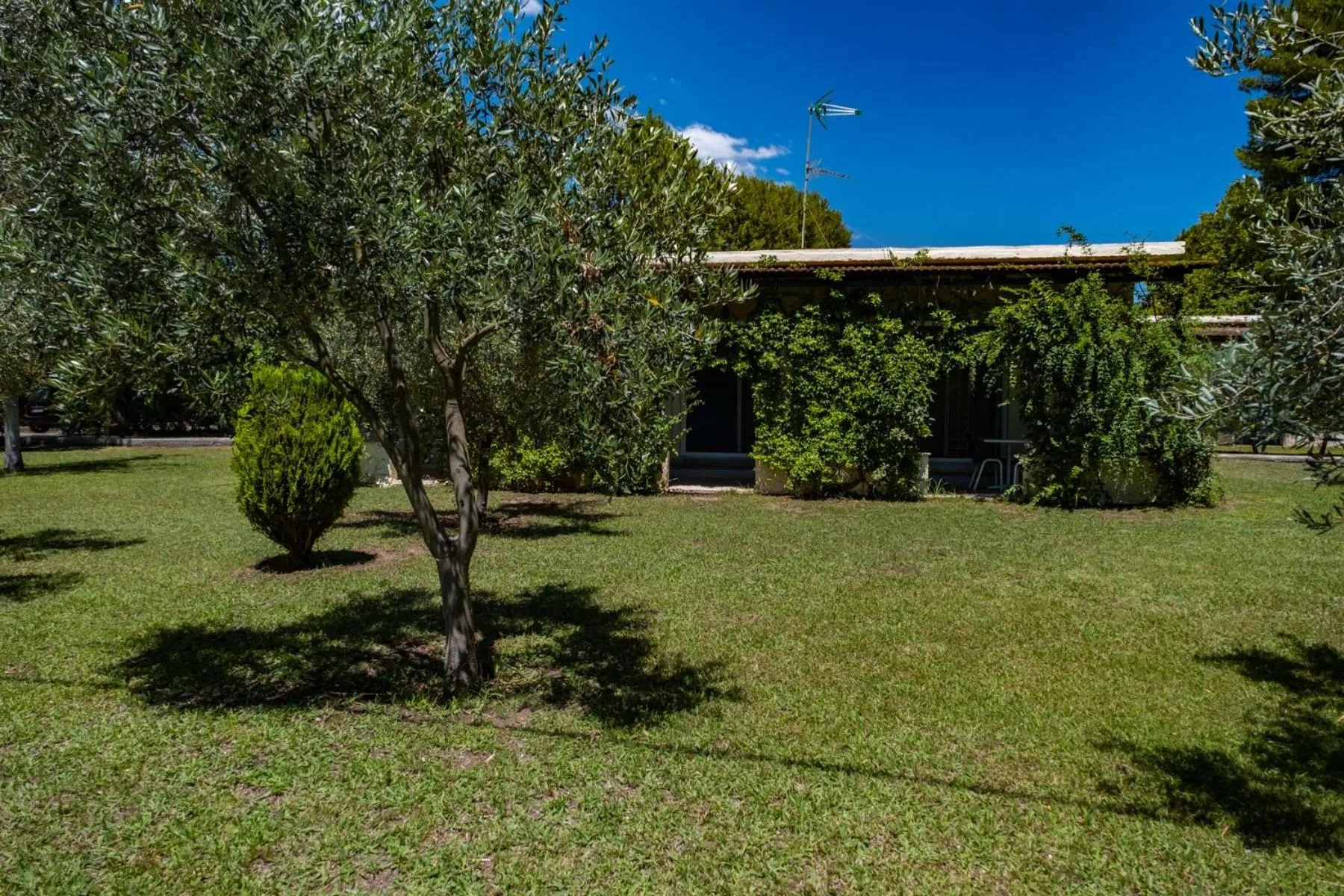 Property building in Tsamadanis Hotel & Bungalows Friends Family