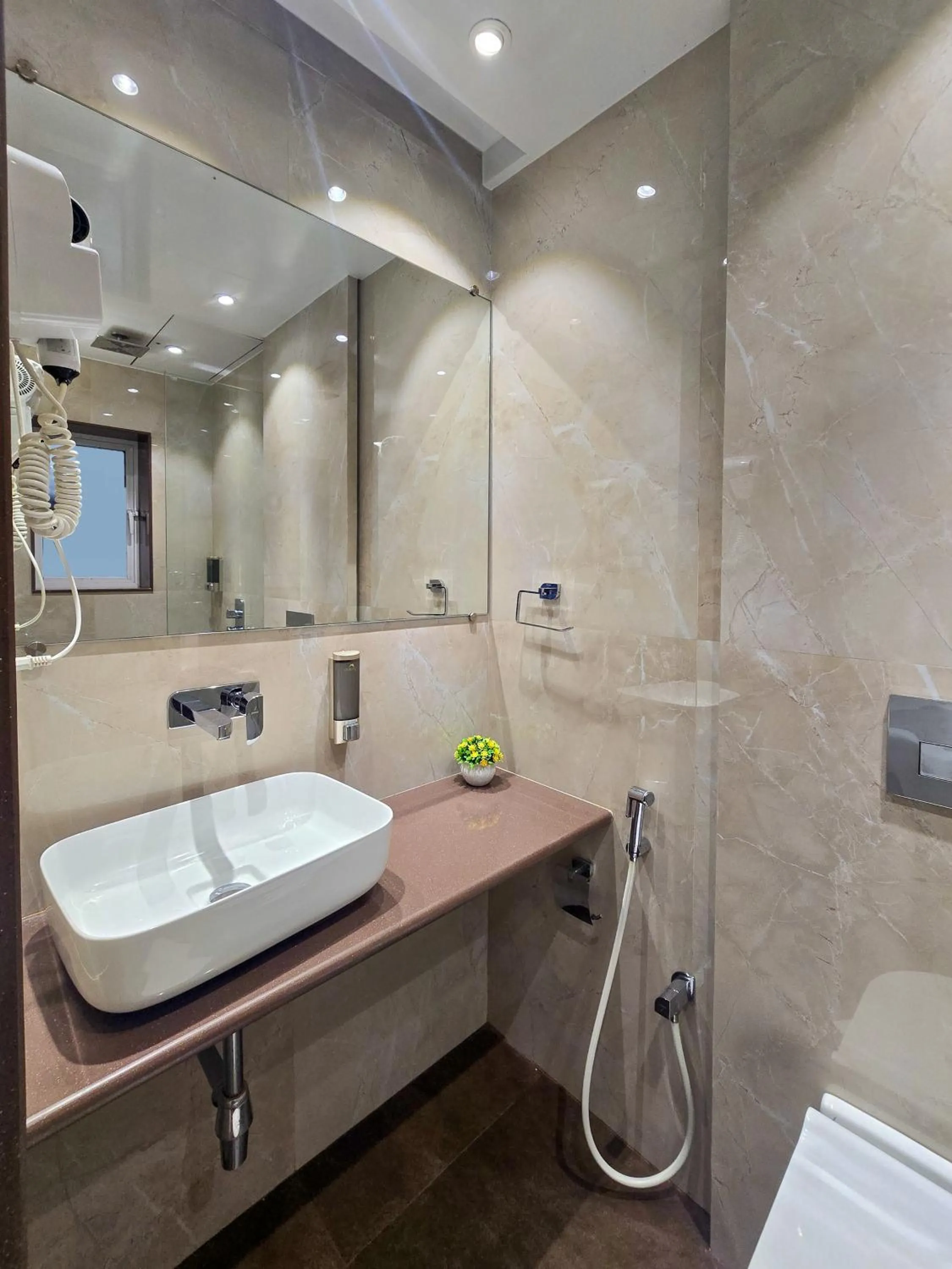 Shower in Hotel Kalpana Palace, Mumbai