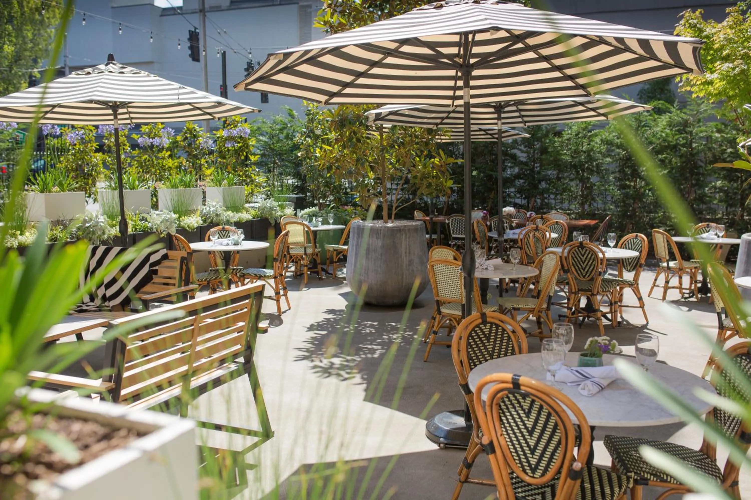 Garden in Hotel Sorrento