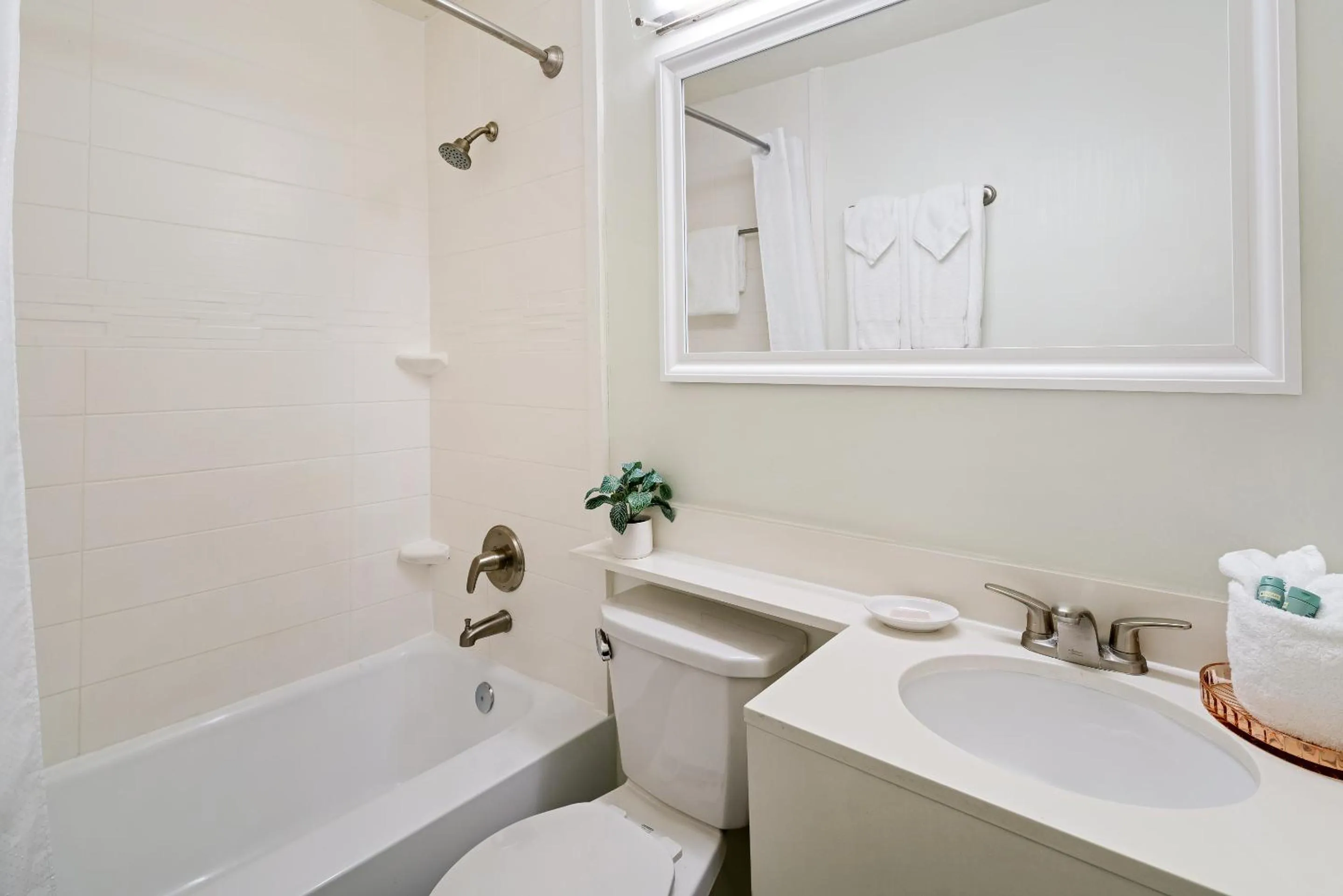 Toilet in Palm Tree Club Miami