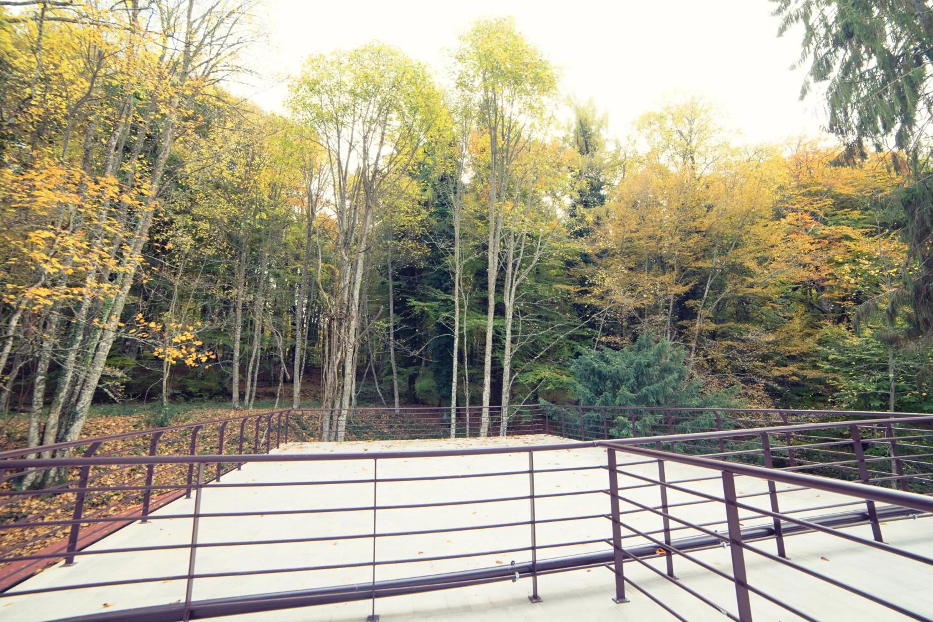Balcony/Terrace in Elda Hotel