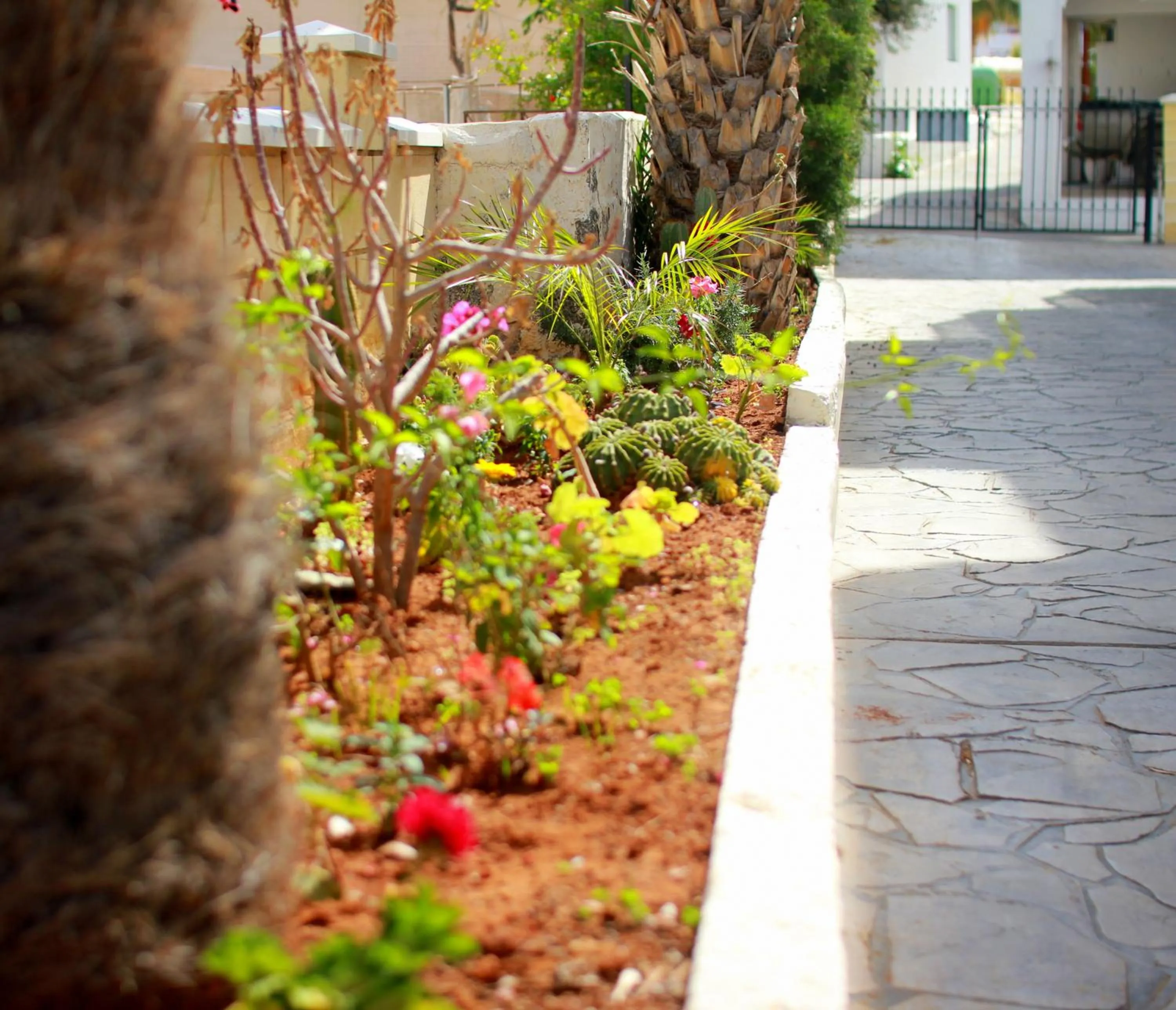 Spring in Maria Zintili Apartments