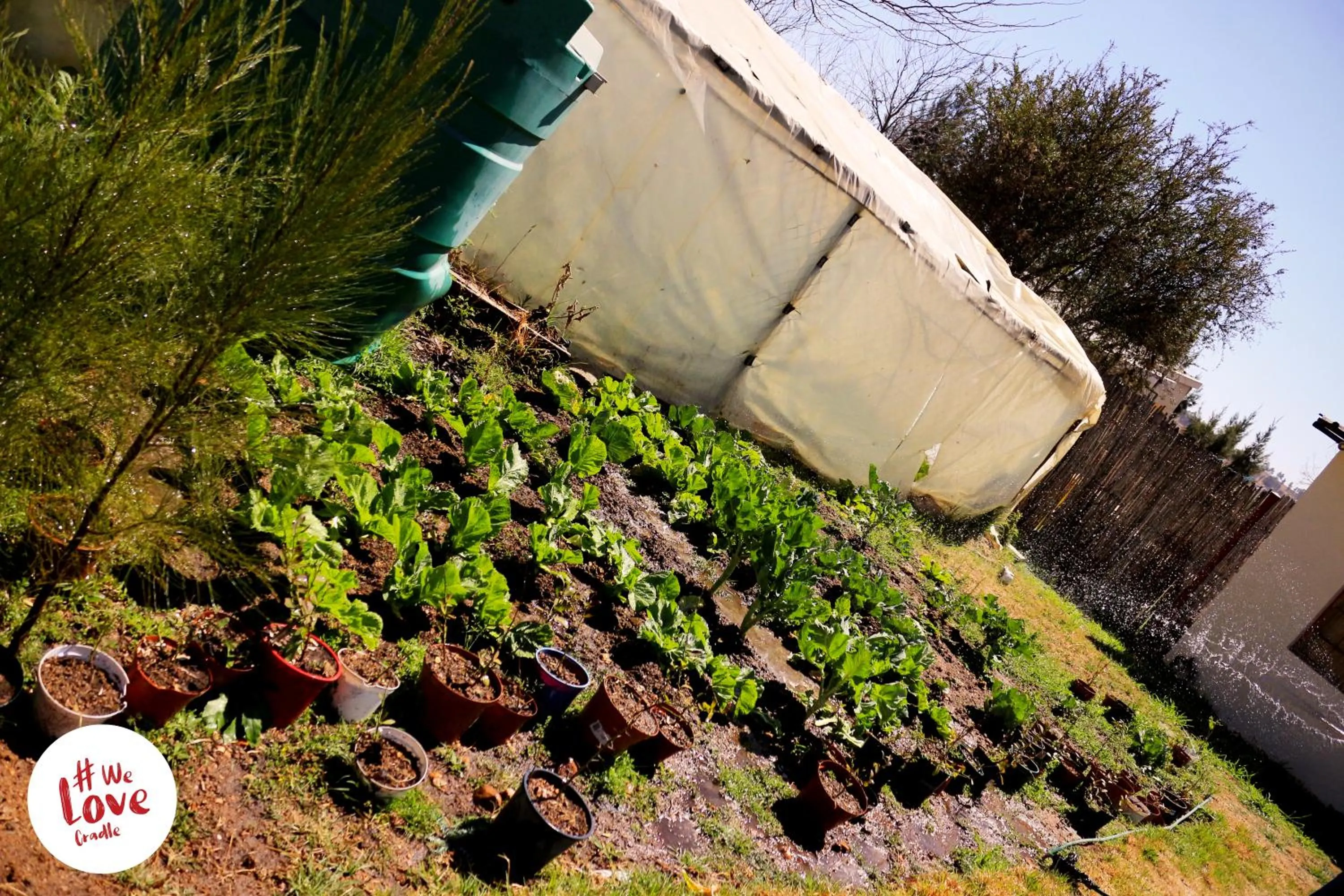 Restaurant/places to eat in Lanseria Country Estate