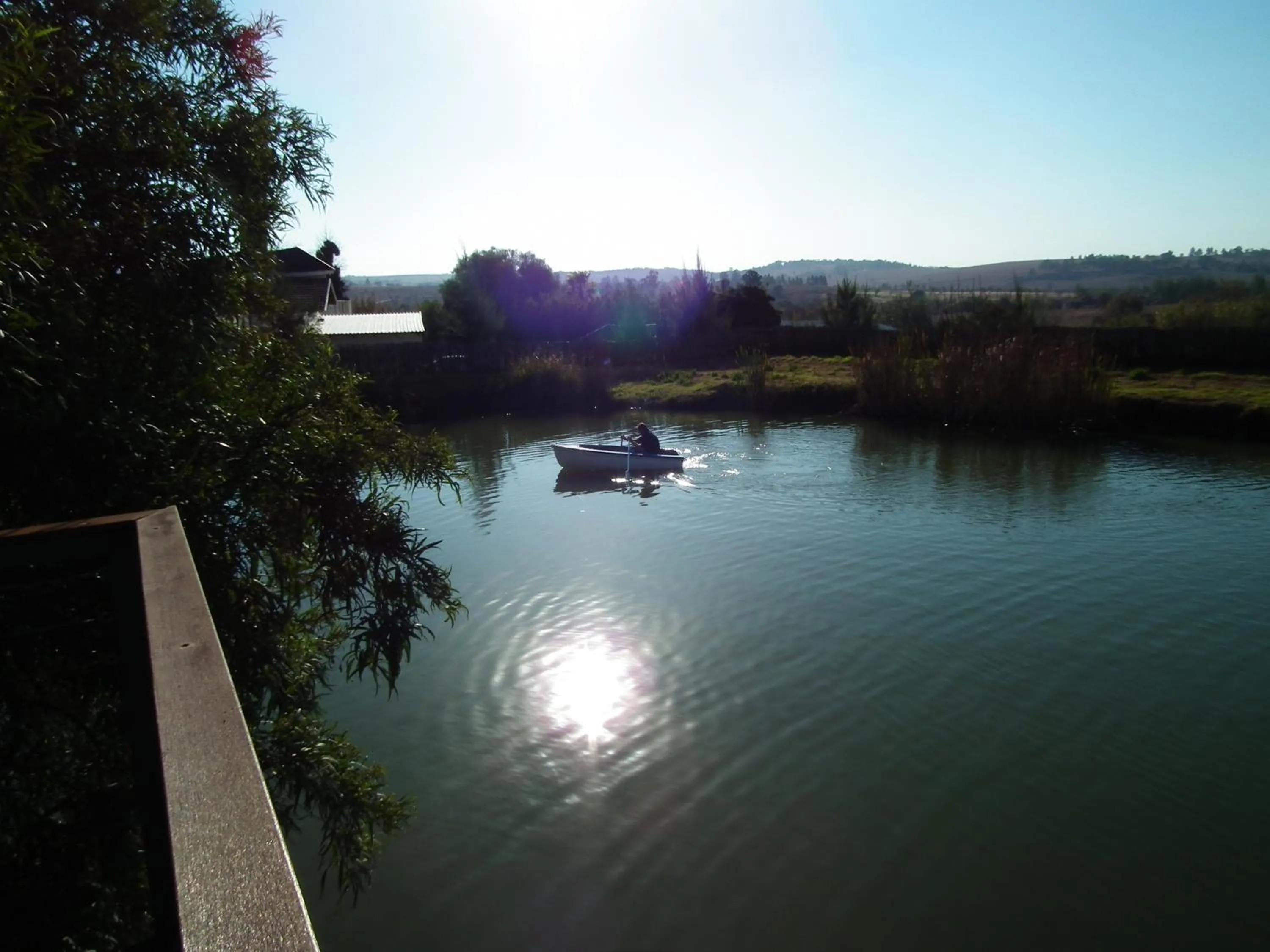 Fishing in Lanseria Country Estate