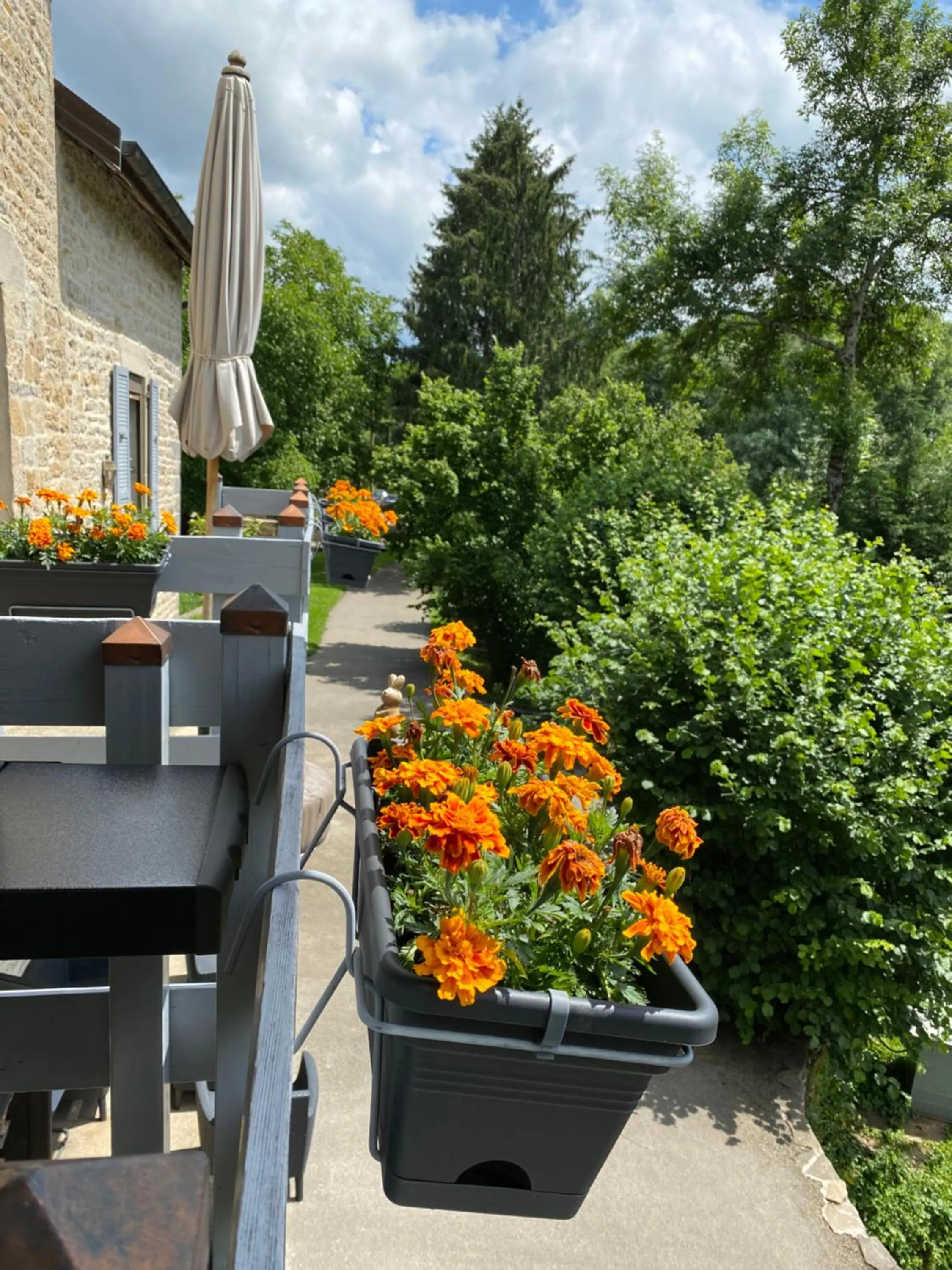 Au Lavoir du Serein "Les Lavandières"