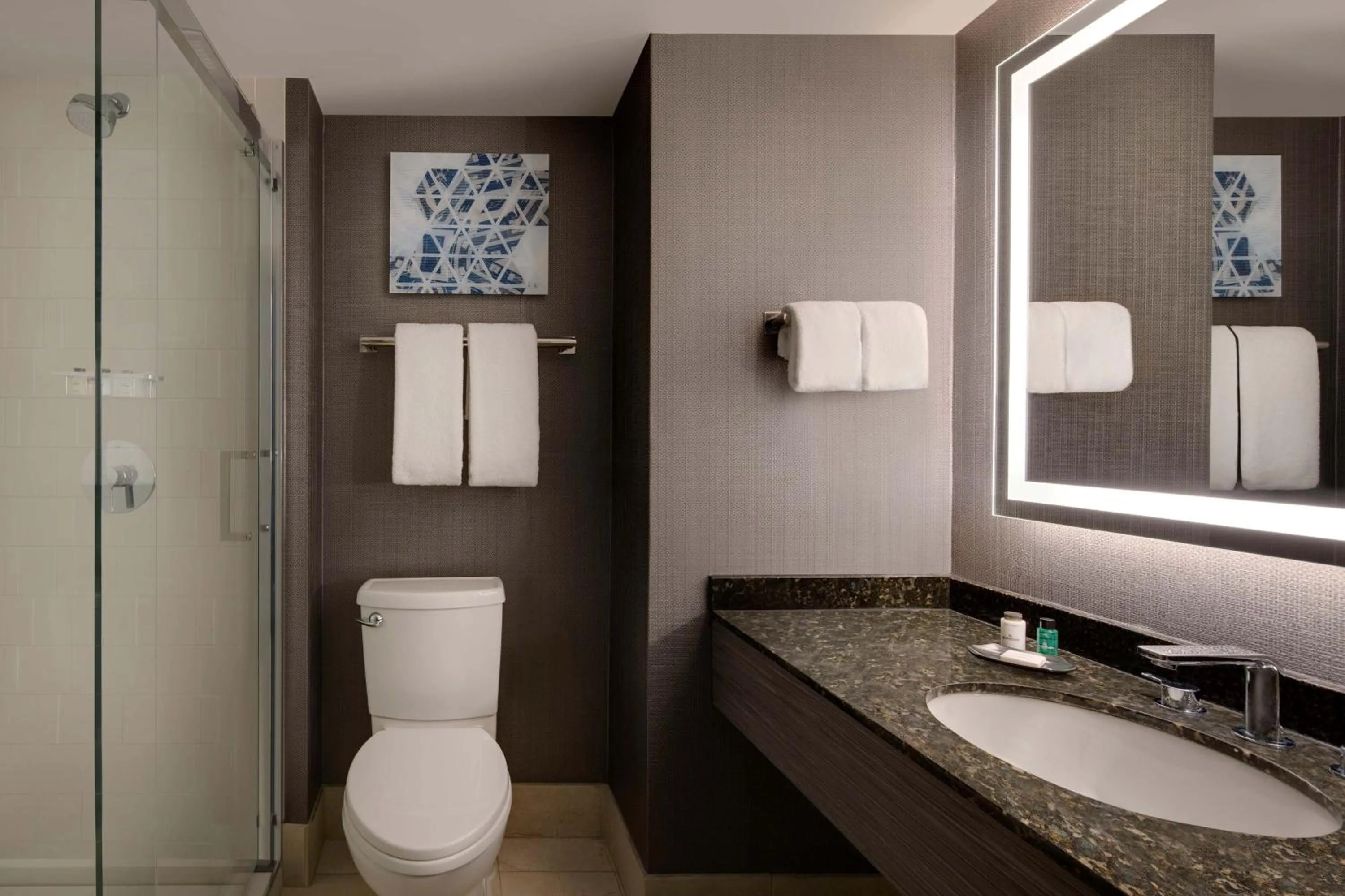 Bathroom in Sheraton Philadelphia Downtown