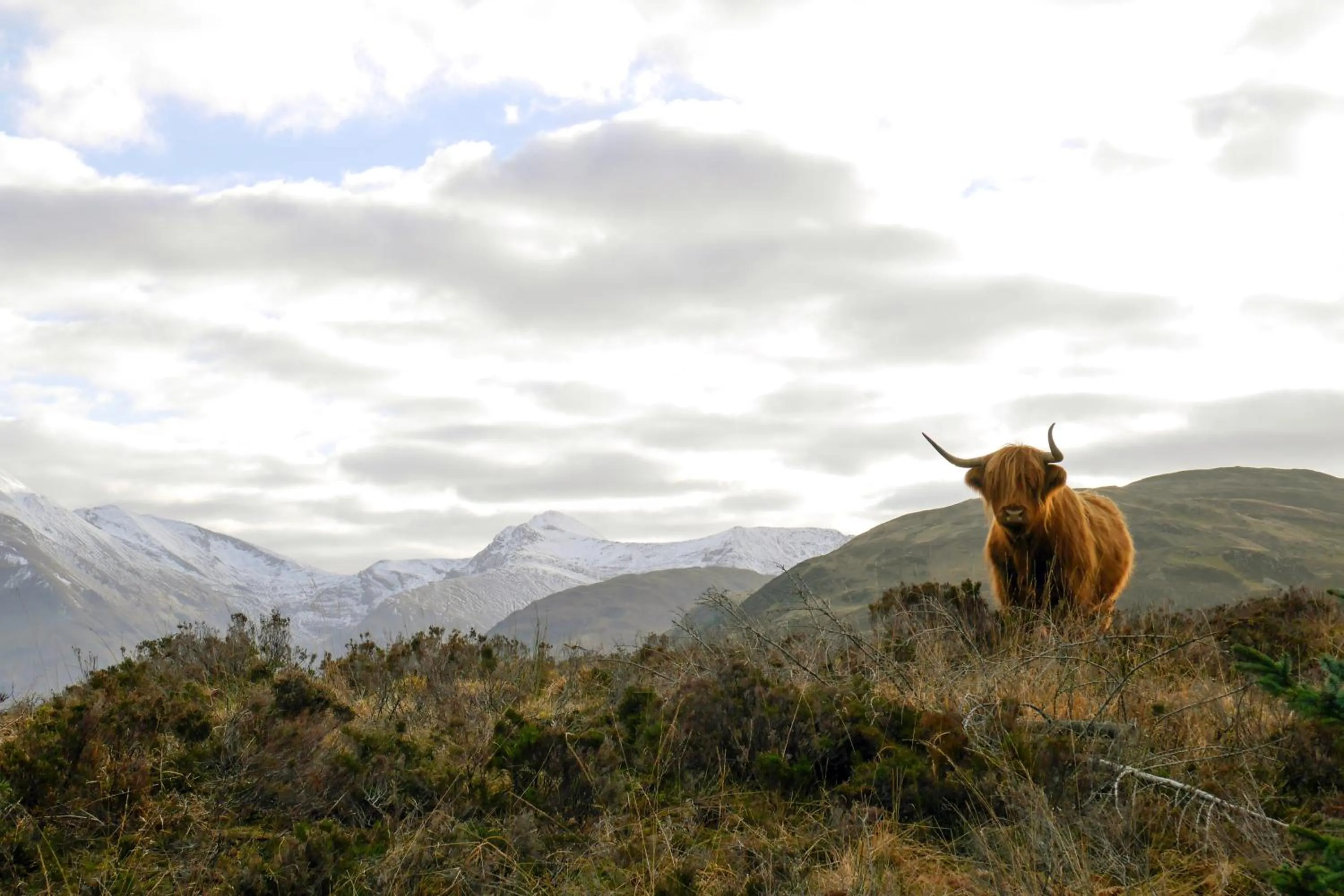 Nearby landmark in Glen Nevis Holidays