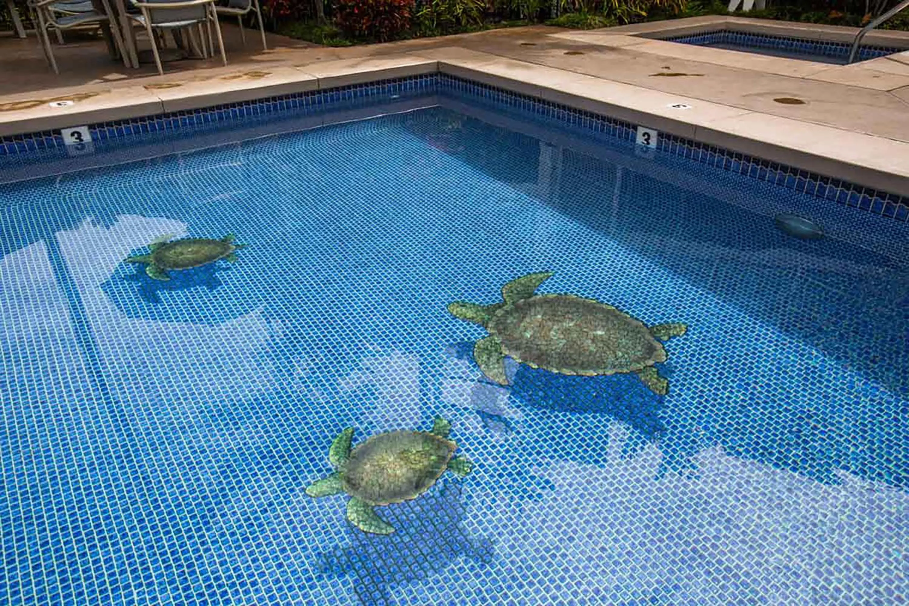 Swimming pool in Wailea Grand Champions Villas - CoralTree Residence Collection