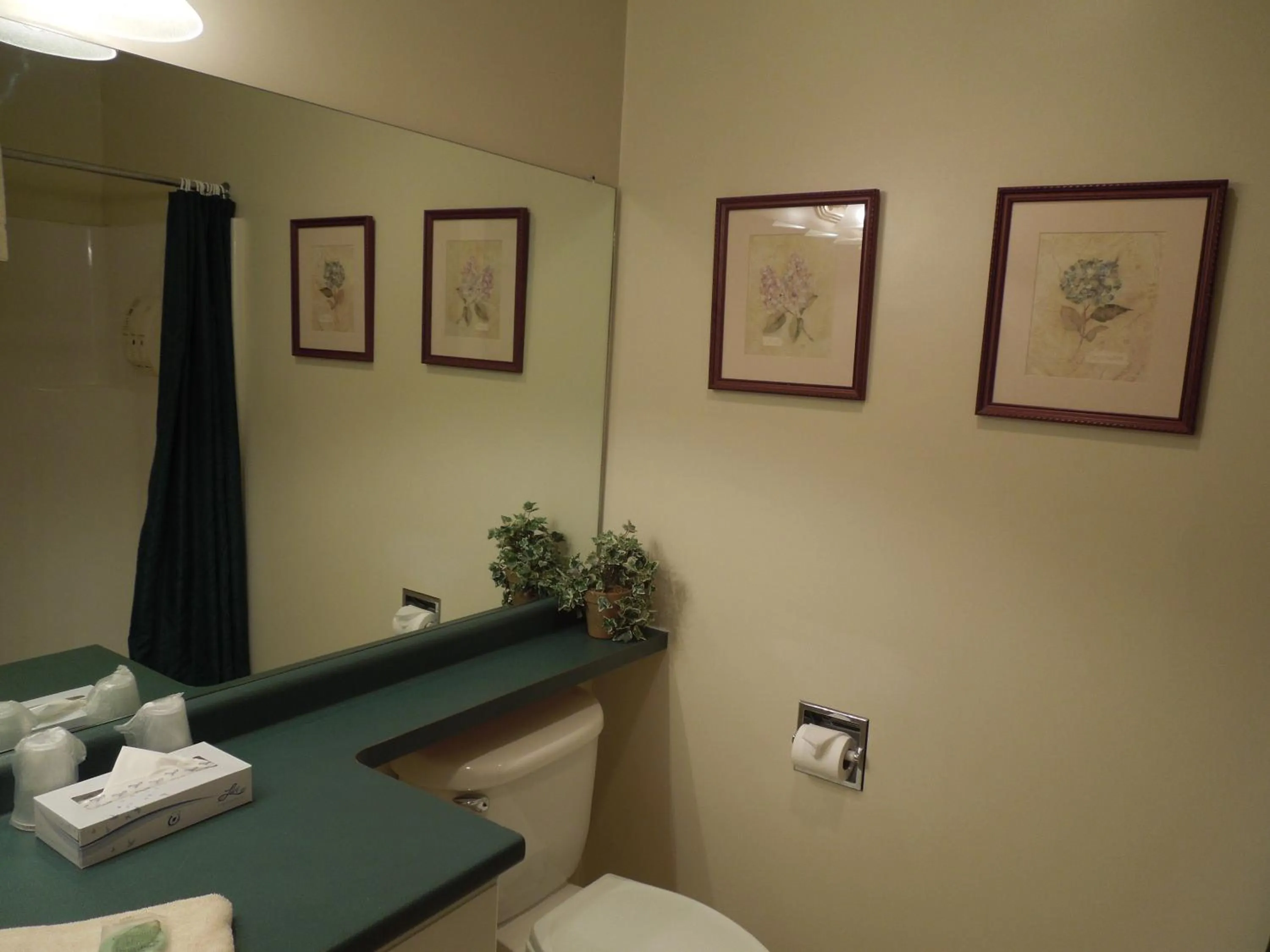 Bathroom in Eastern Slope Inn Resort