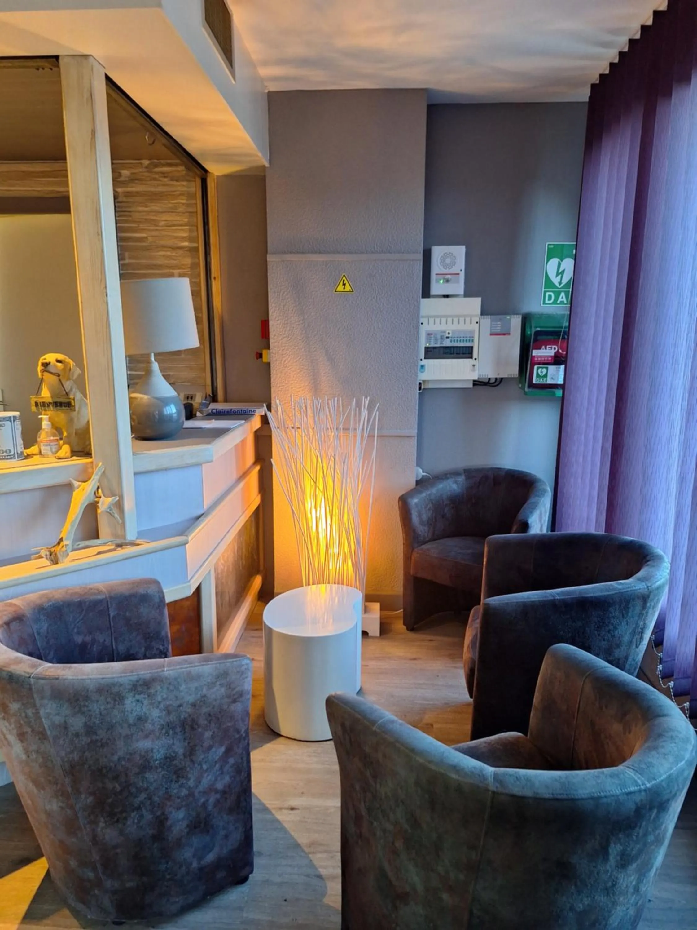 Living room in Hotel le Foron