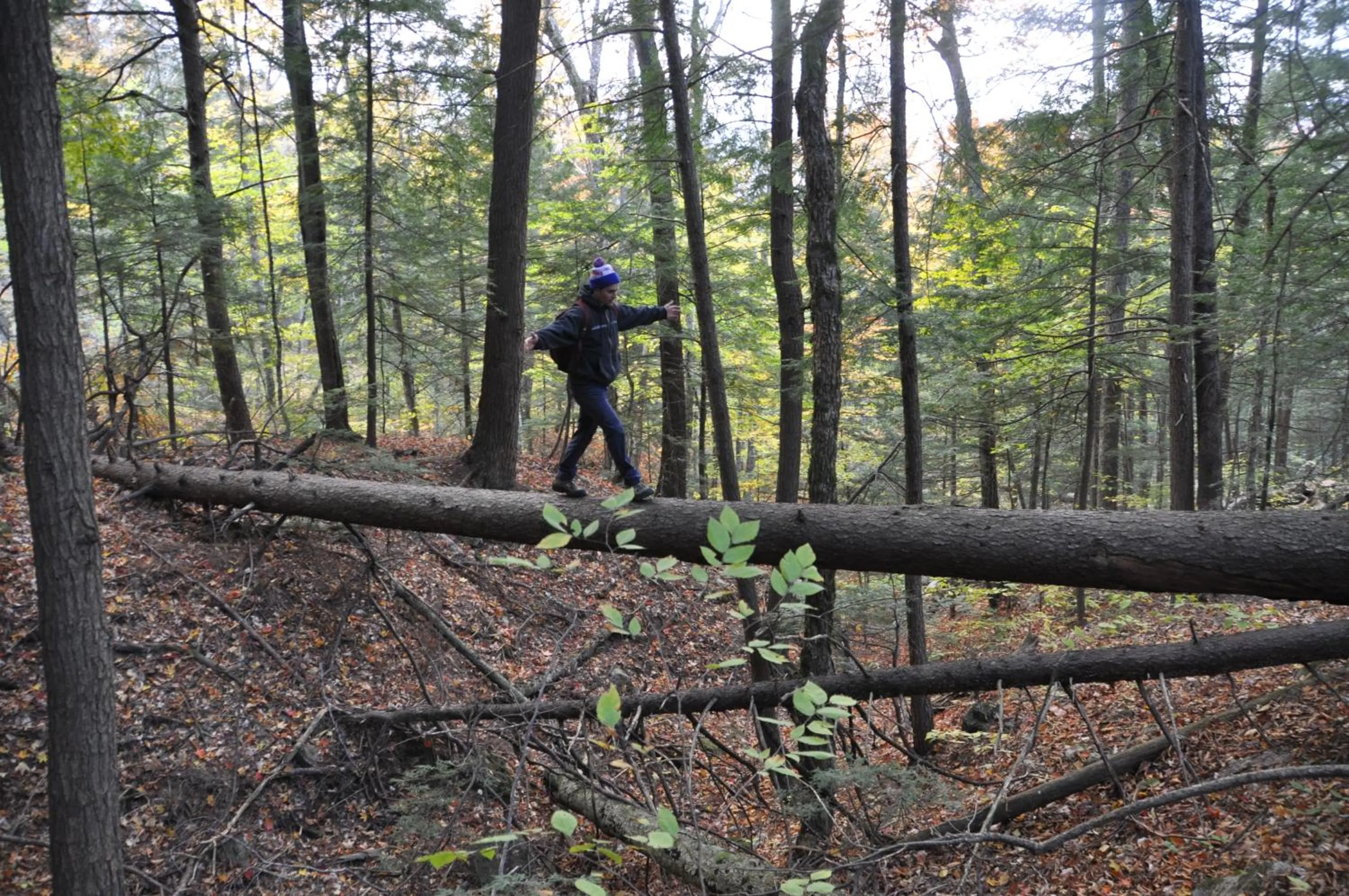 Hiking in Attitash Mountain Village
