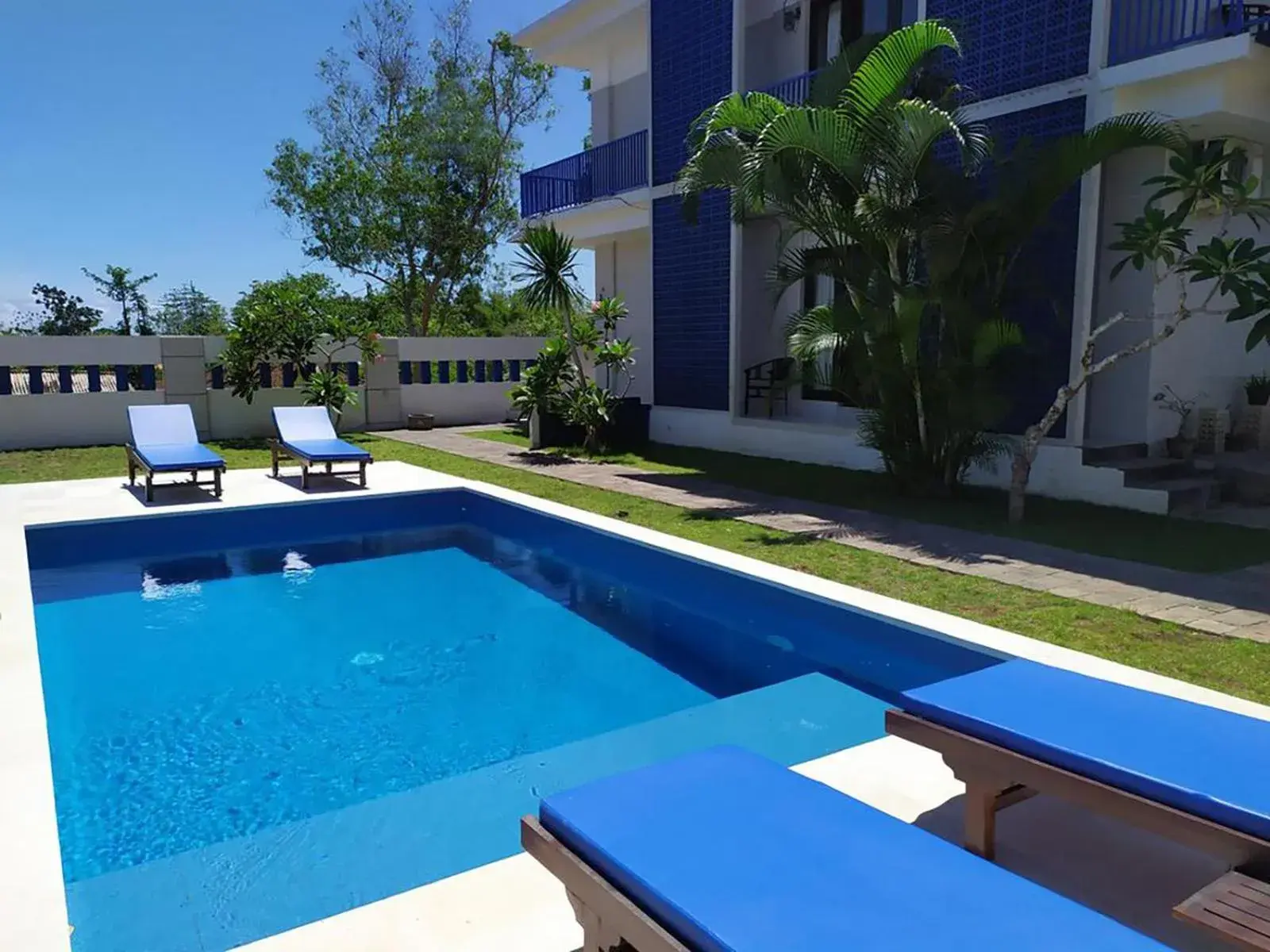 Sea Star Bali Sea Star Bali