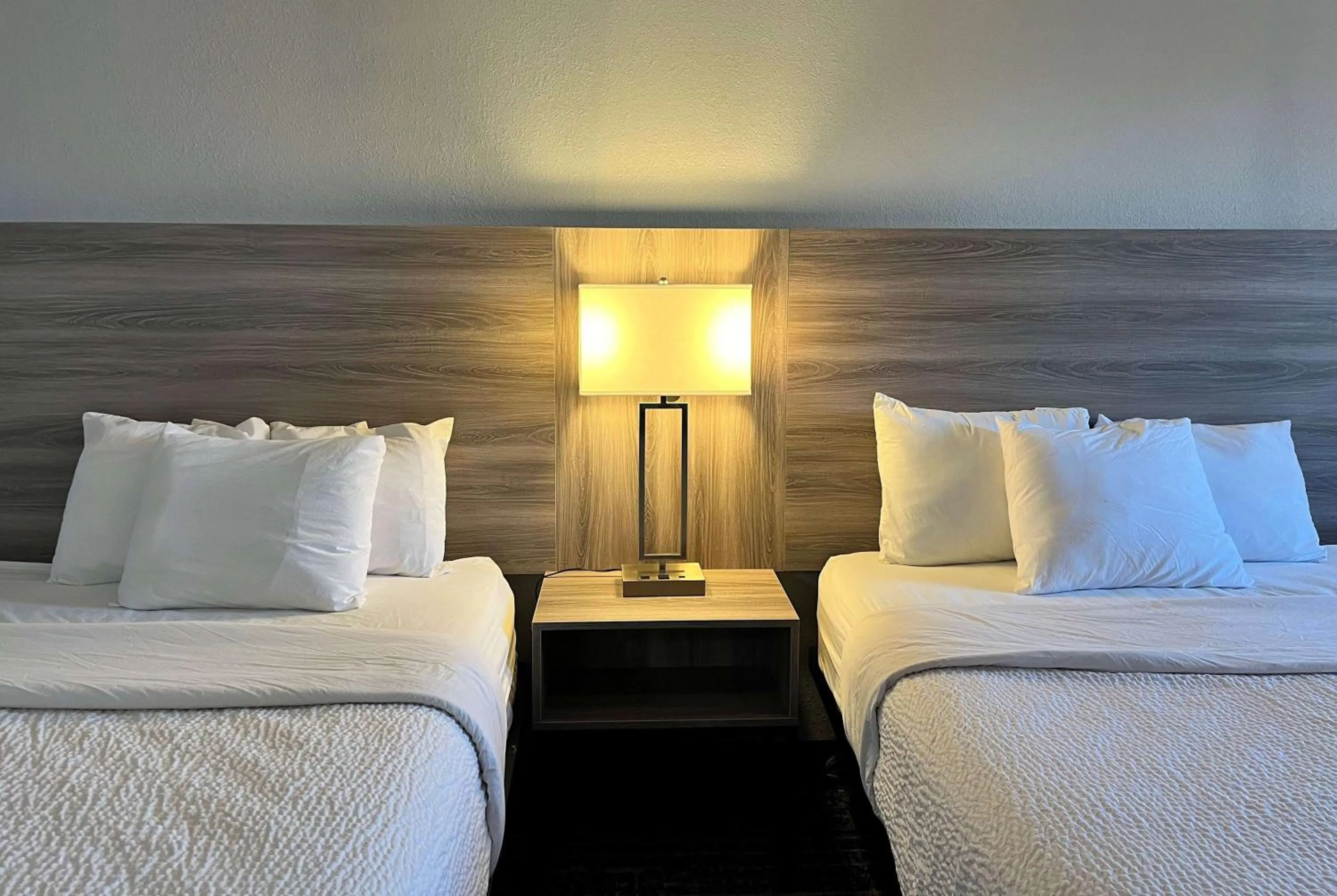 Photo of the whole room, Bed in Baymont by Wyndham Indianapolis South