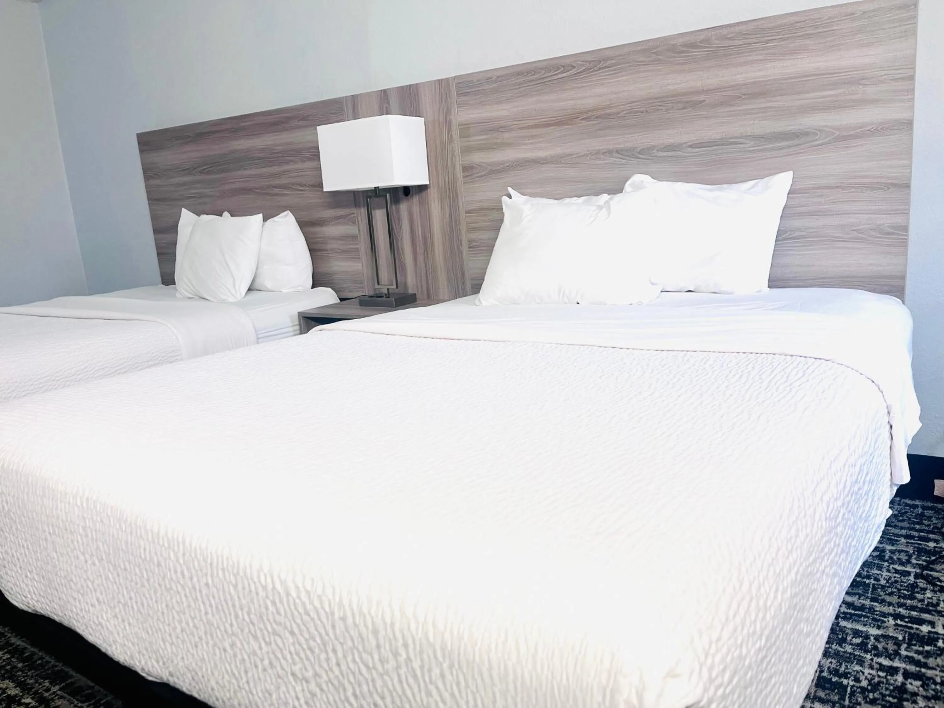 Bed in Baymont by Wyndham Indianapolis South