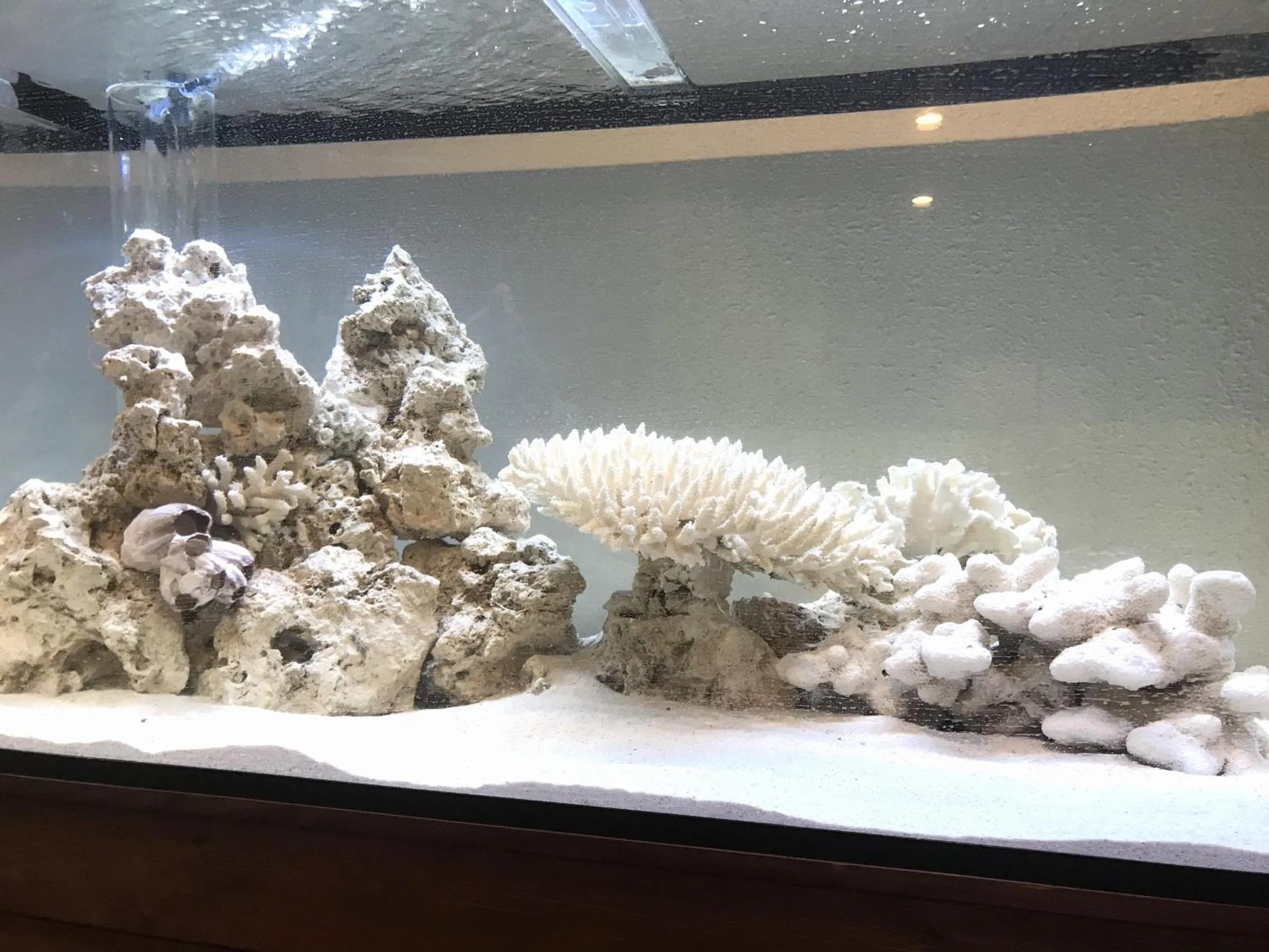 Living room in OceanFront YAHAN