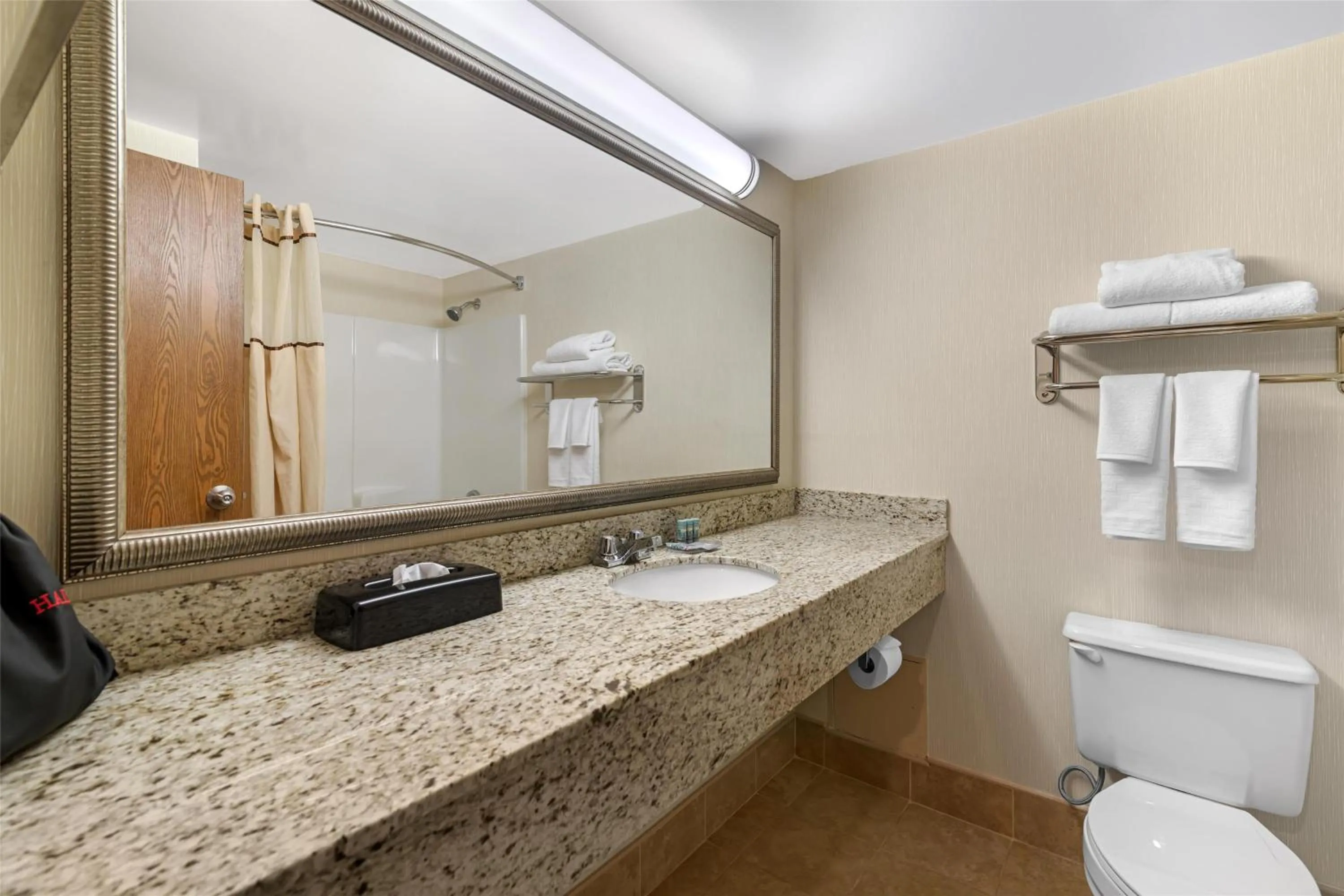 Bathroom in Best Western Royal Plaza Hotel and Trade Center