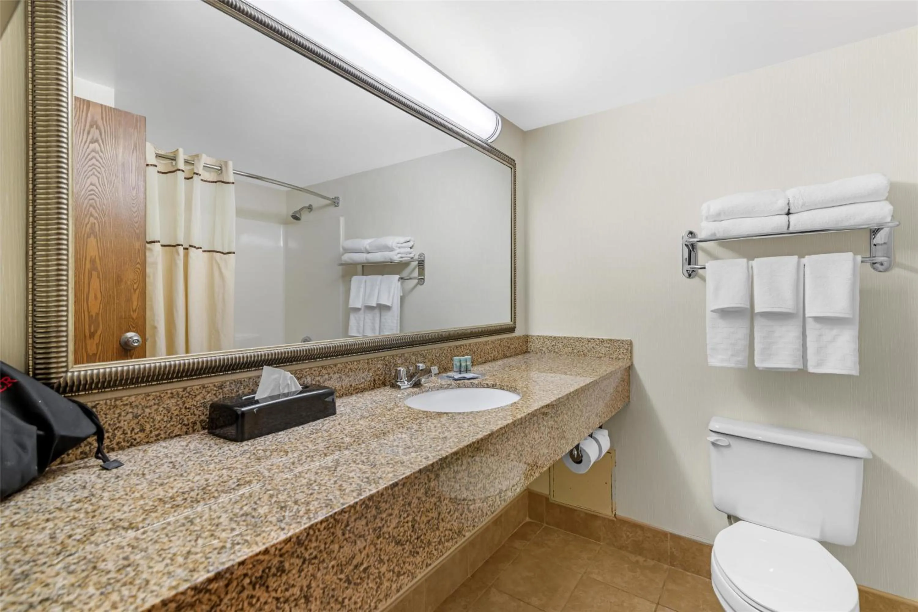 Bathroom in Best Western Royal Plaza Hotel and Trade Center