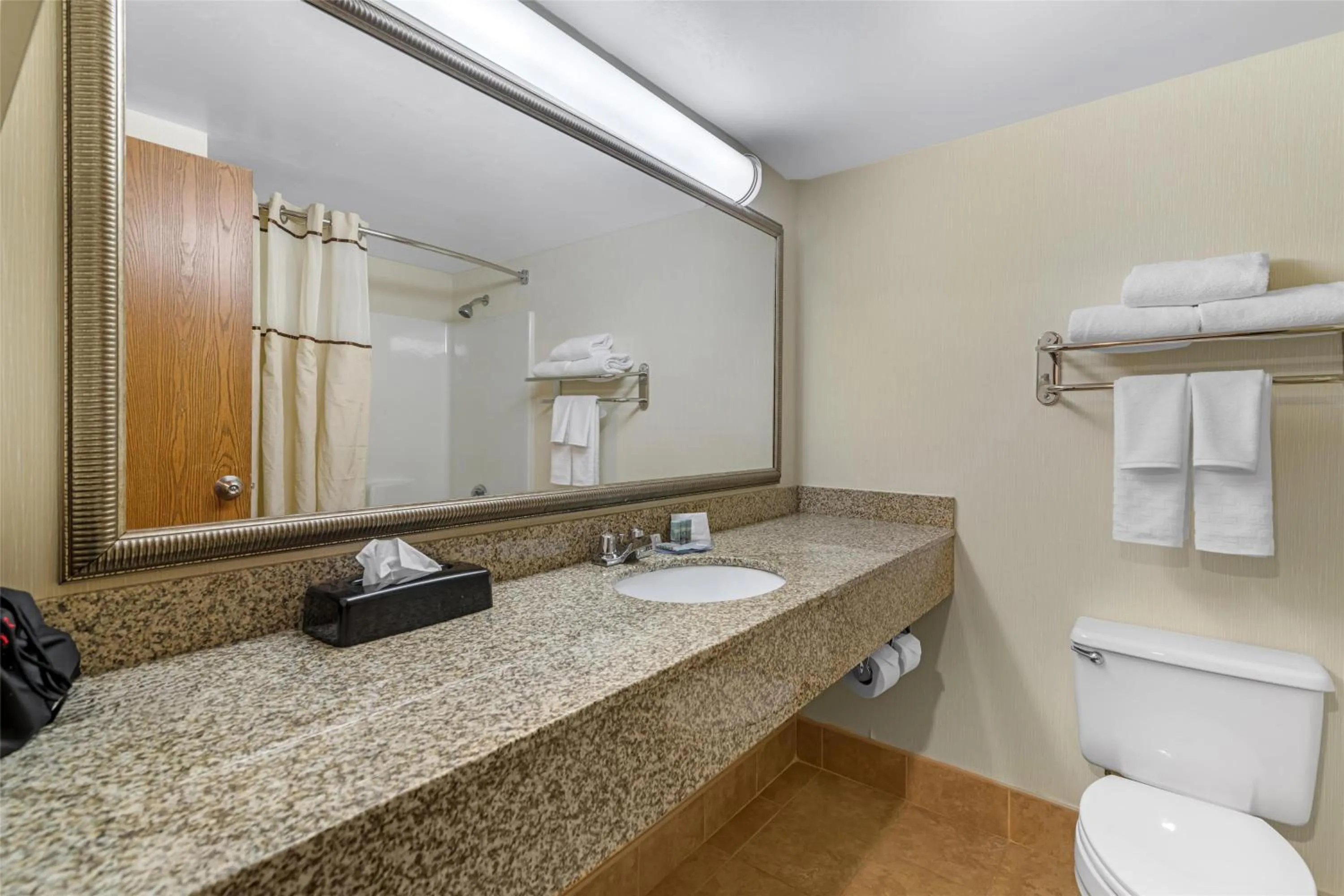 Bathroom in Best Western Royal Plaza Hotel and Trade Center
