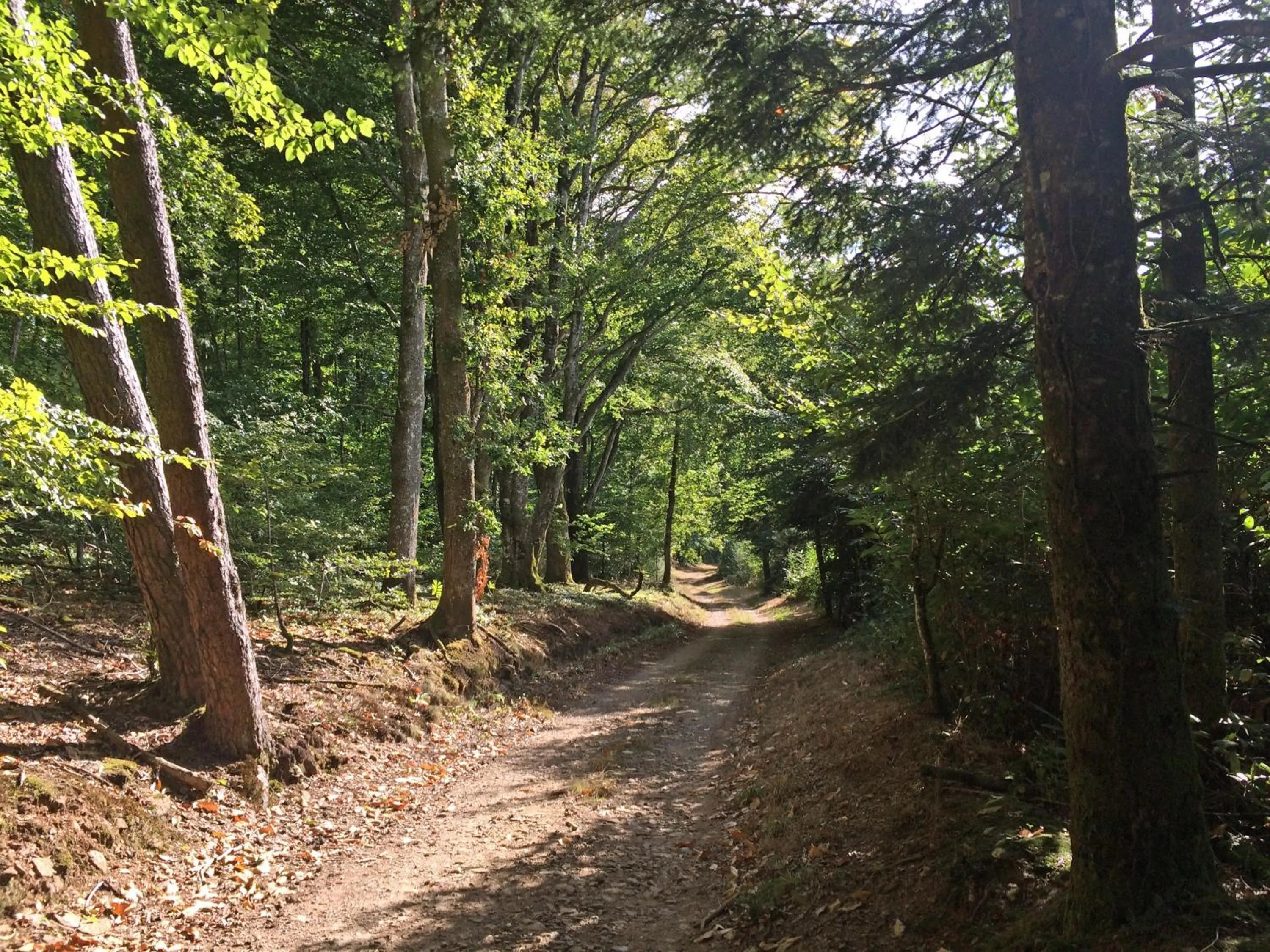 Hiking in Champ De Foire