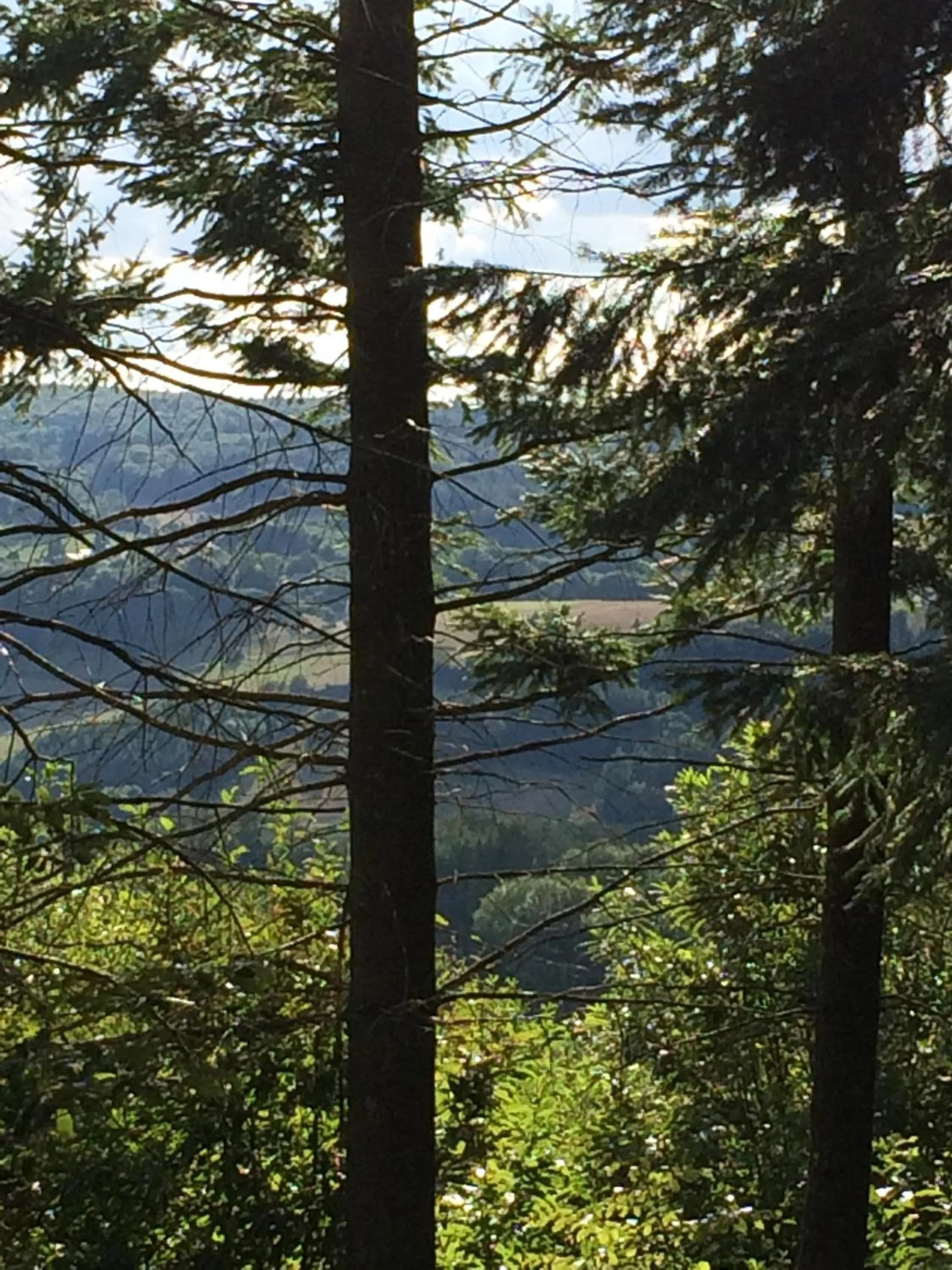 Natural landscape in Champ De Foire