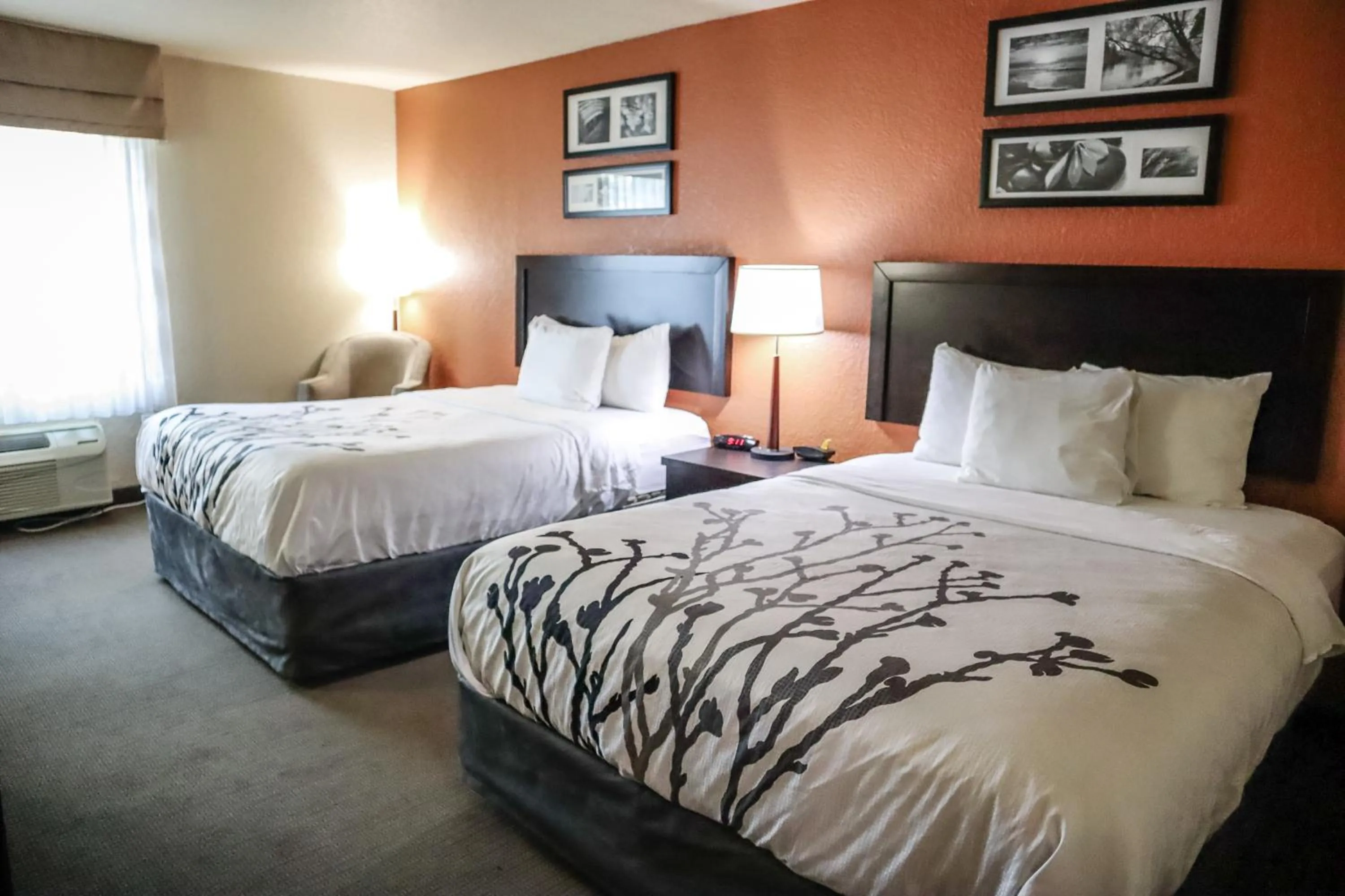 Photo of the whole room, Bed in Sleep Inn & Suites Ocala