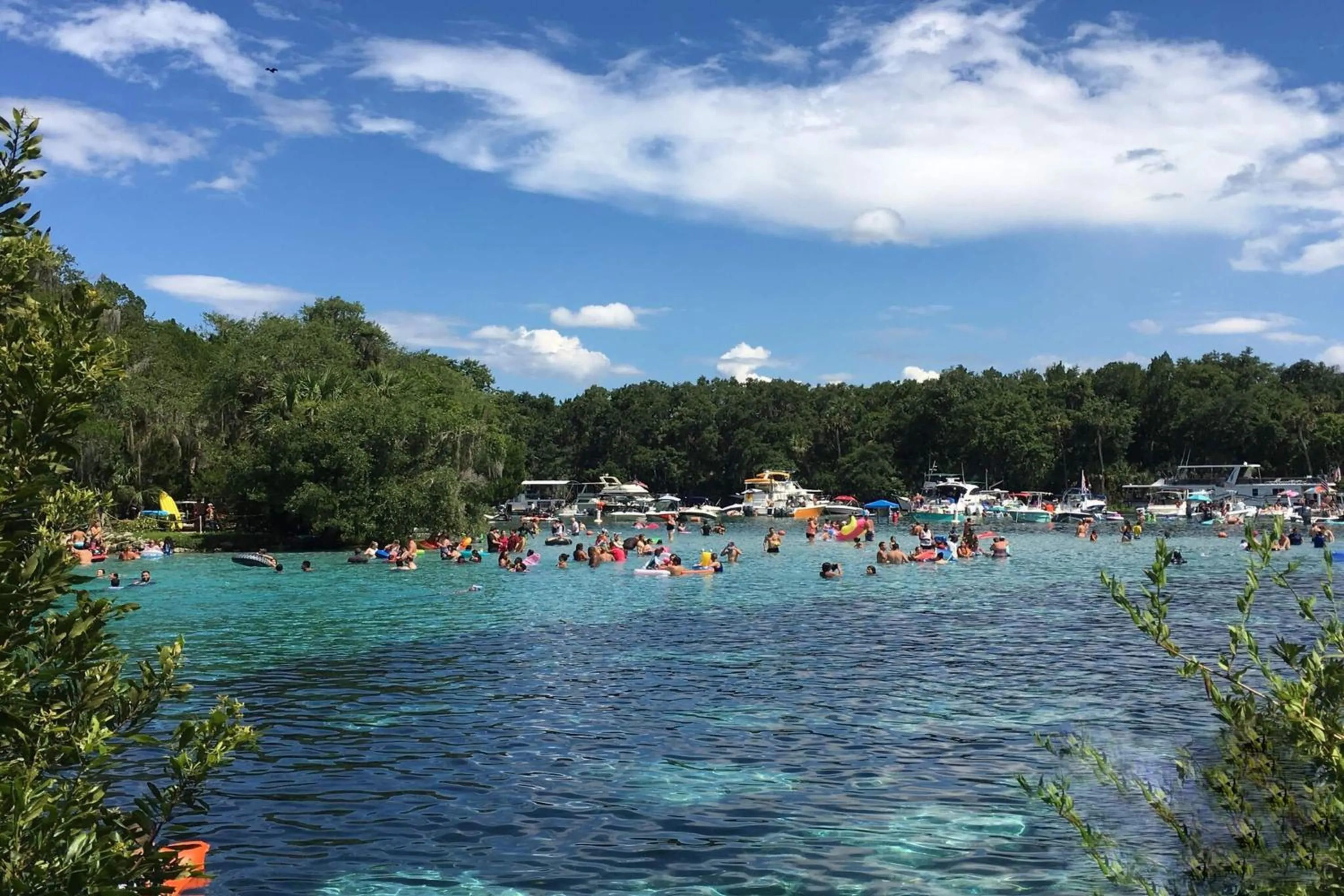 Other in Howard Johnson by Wyndham Ocala FL I-75