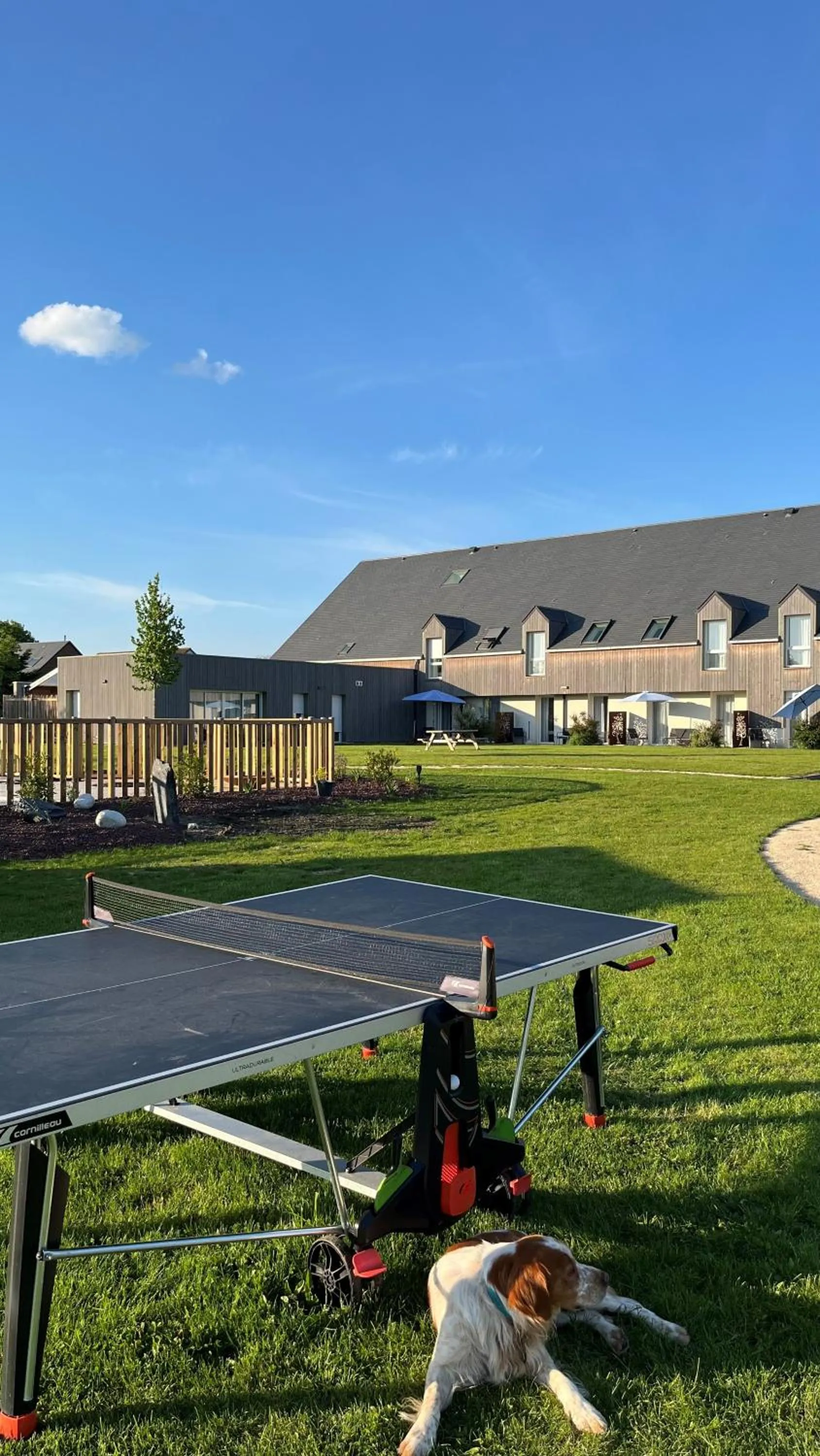 Table tennis in Brame de Sologne